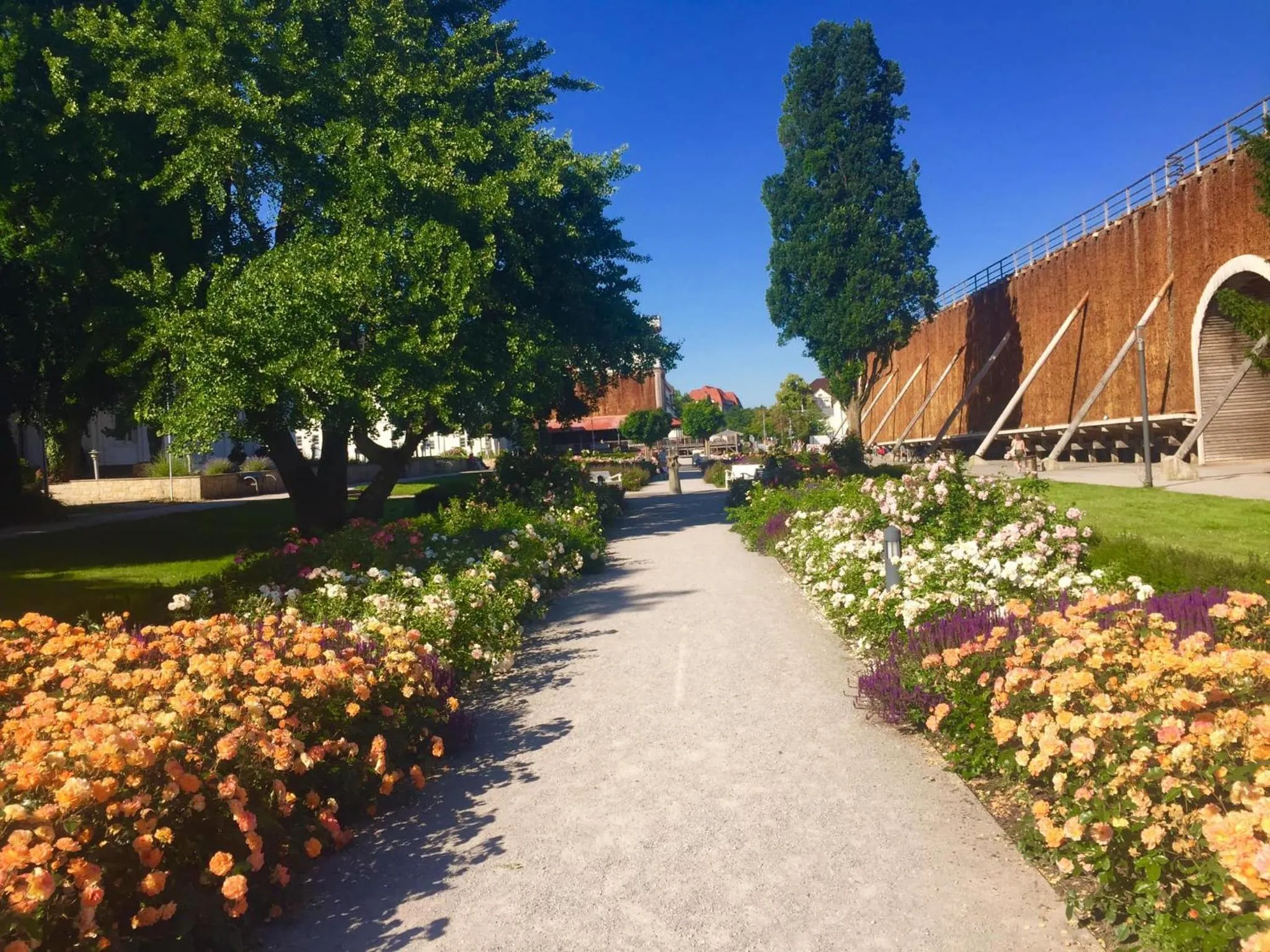 Beach in Hotel Royal