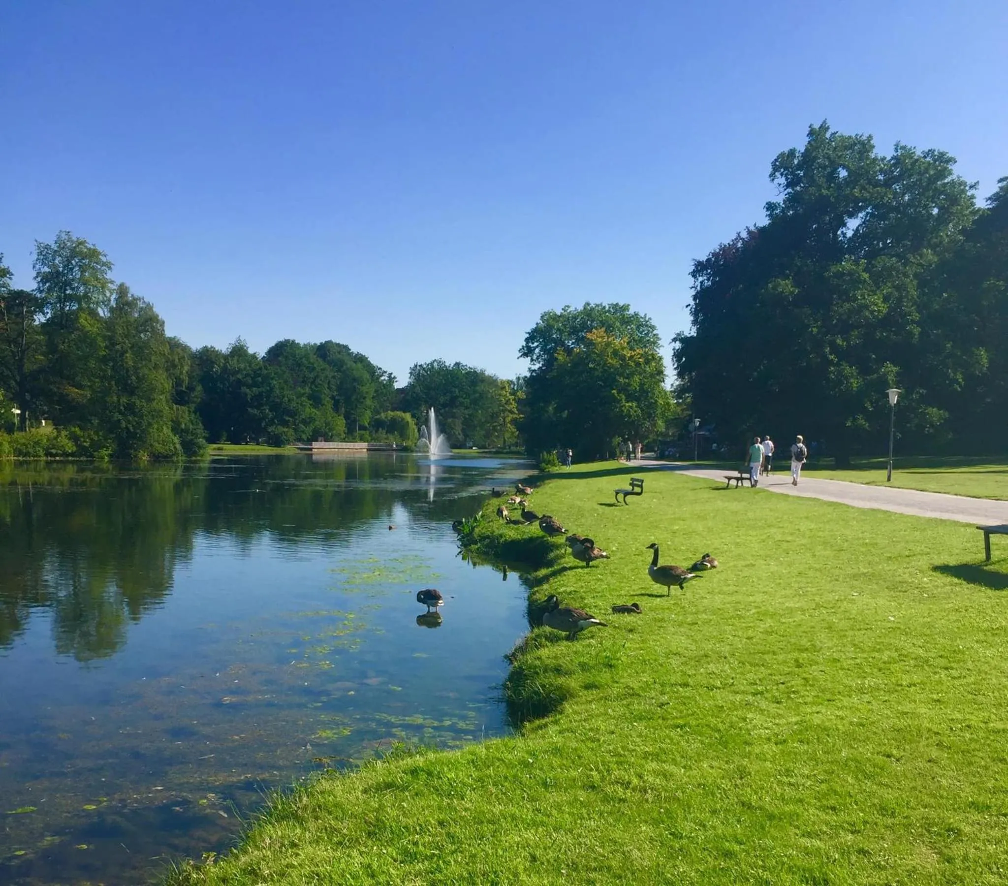 Beach in Hotel Royal