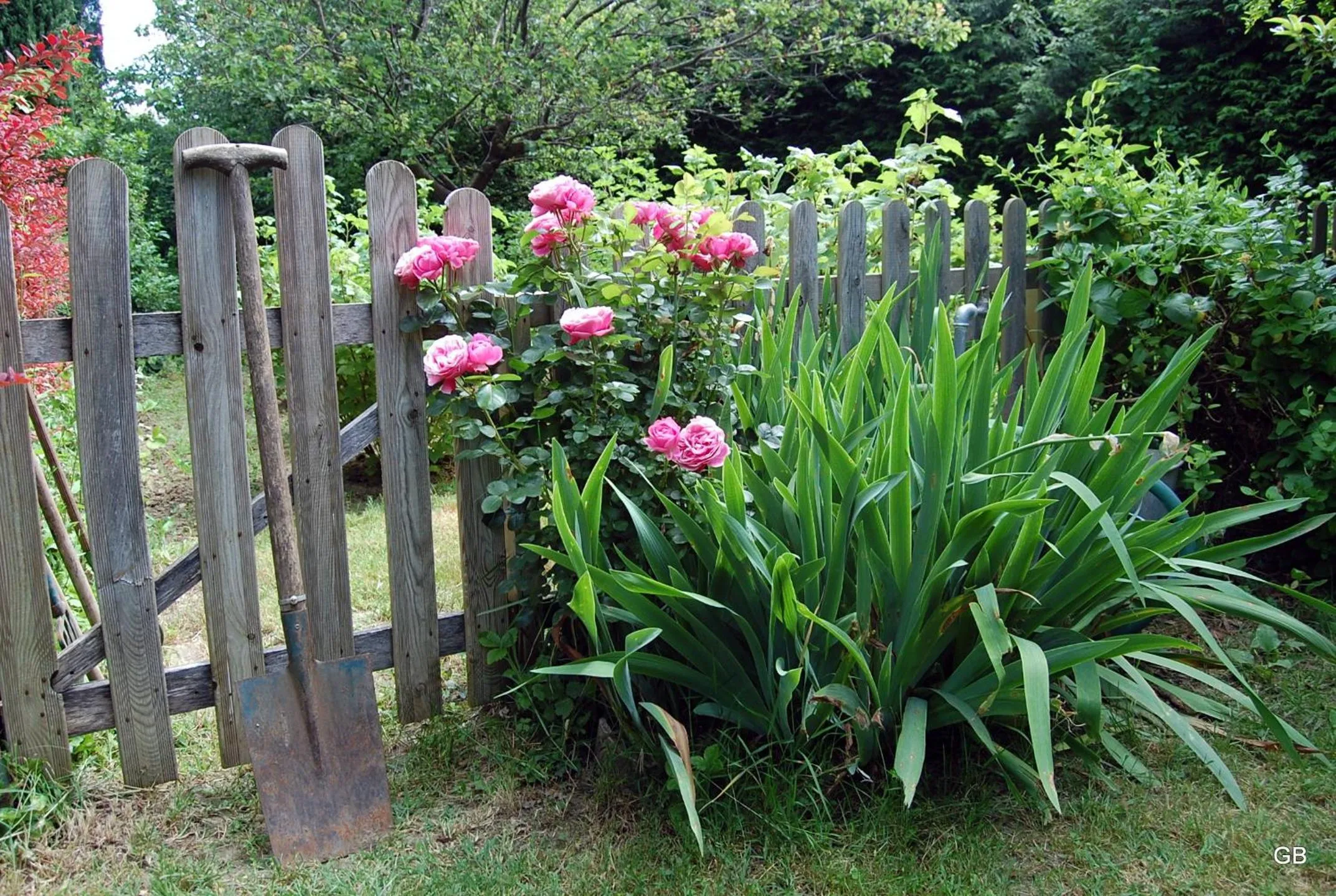 Garden view in Le Mas des Clots