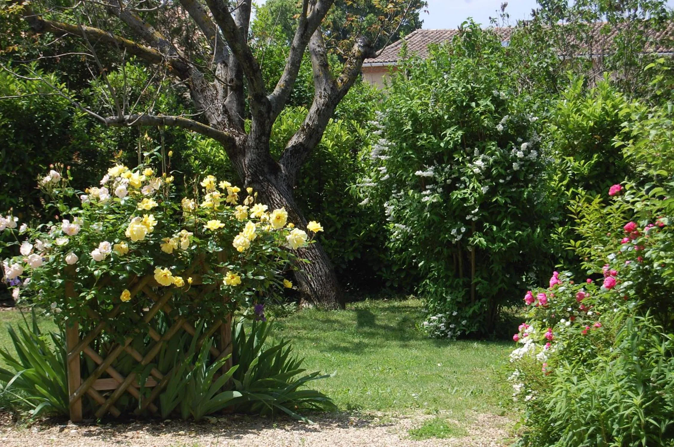 Garden in Le Mas des Clots