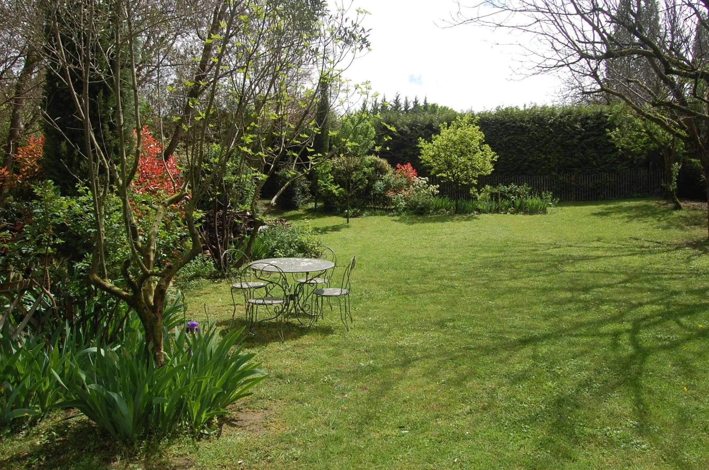 Garden in Le Mas des Clots