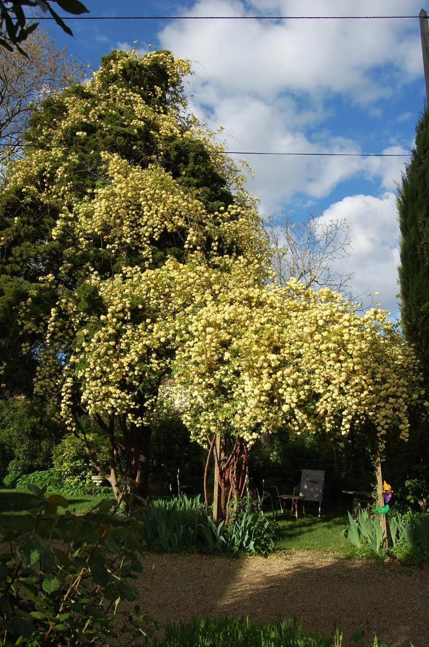 Garden in Le Mas des Clots