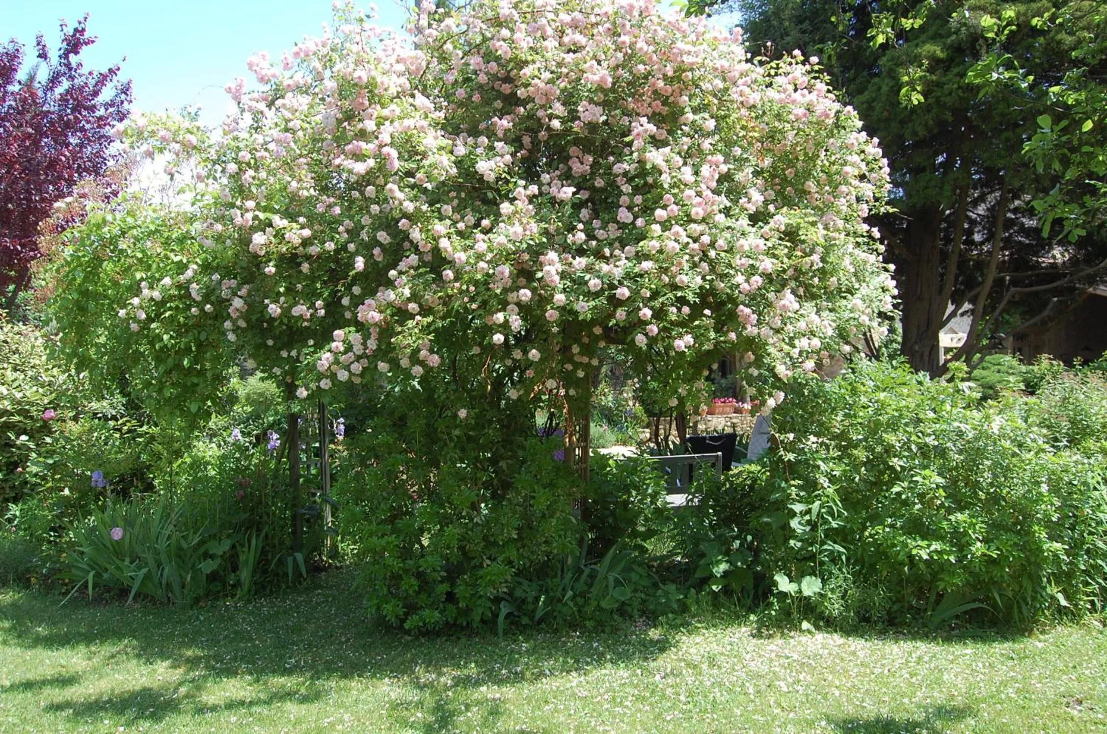 Spring in Le Mas des Clots