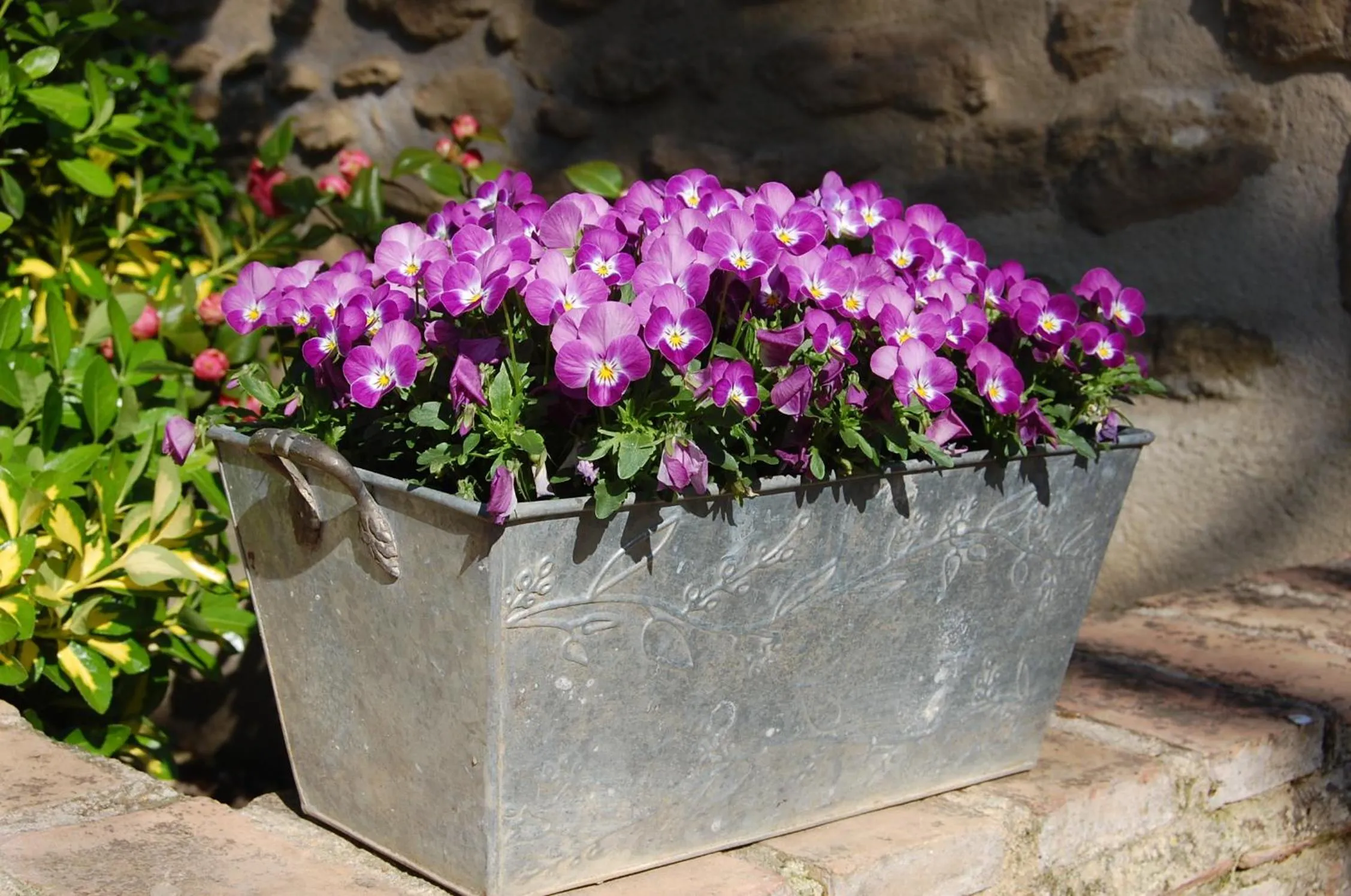 Spring in Le Mas des Clots