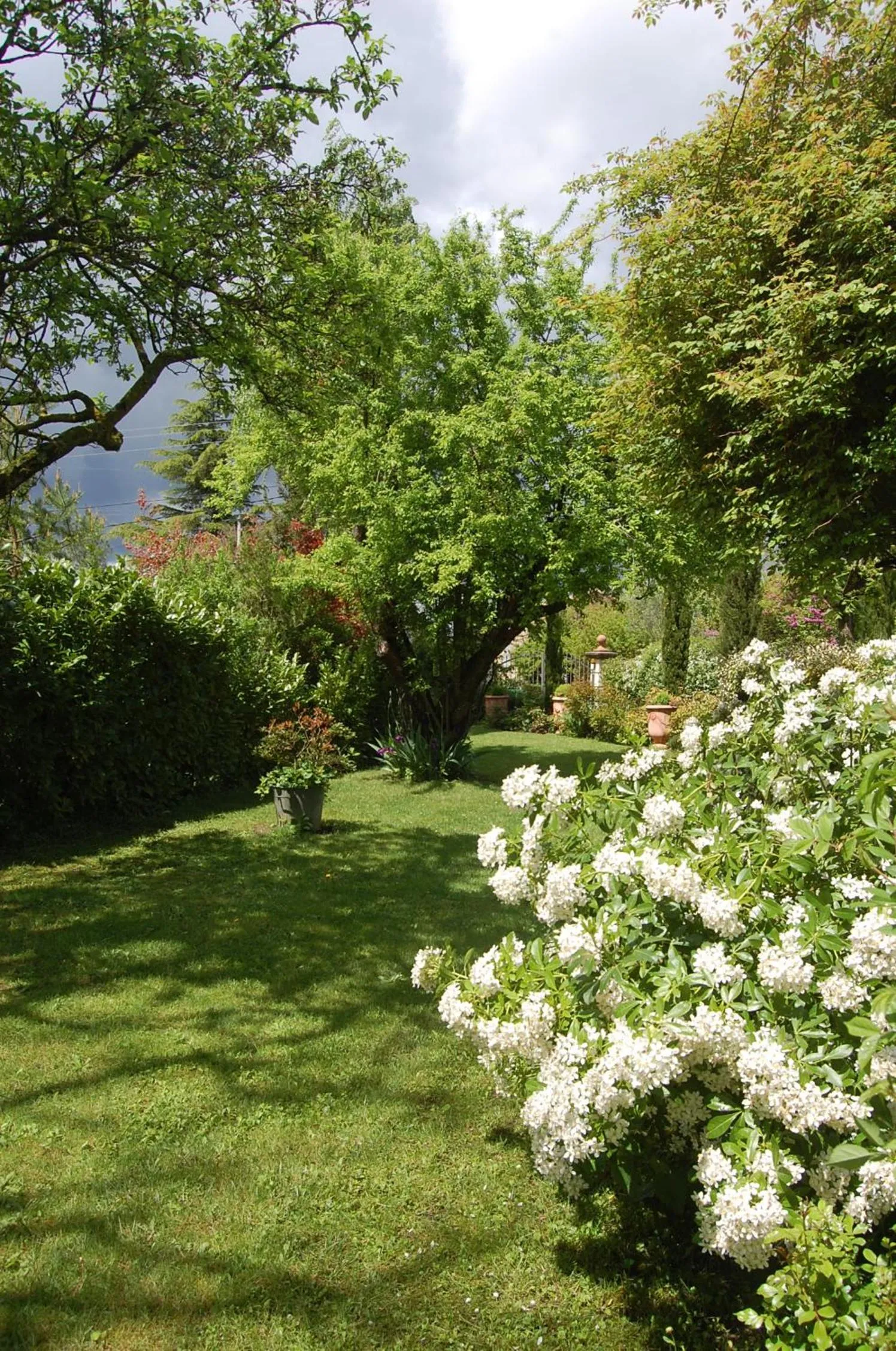 Garden in Le Mas des Clots