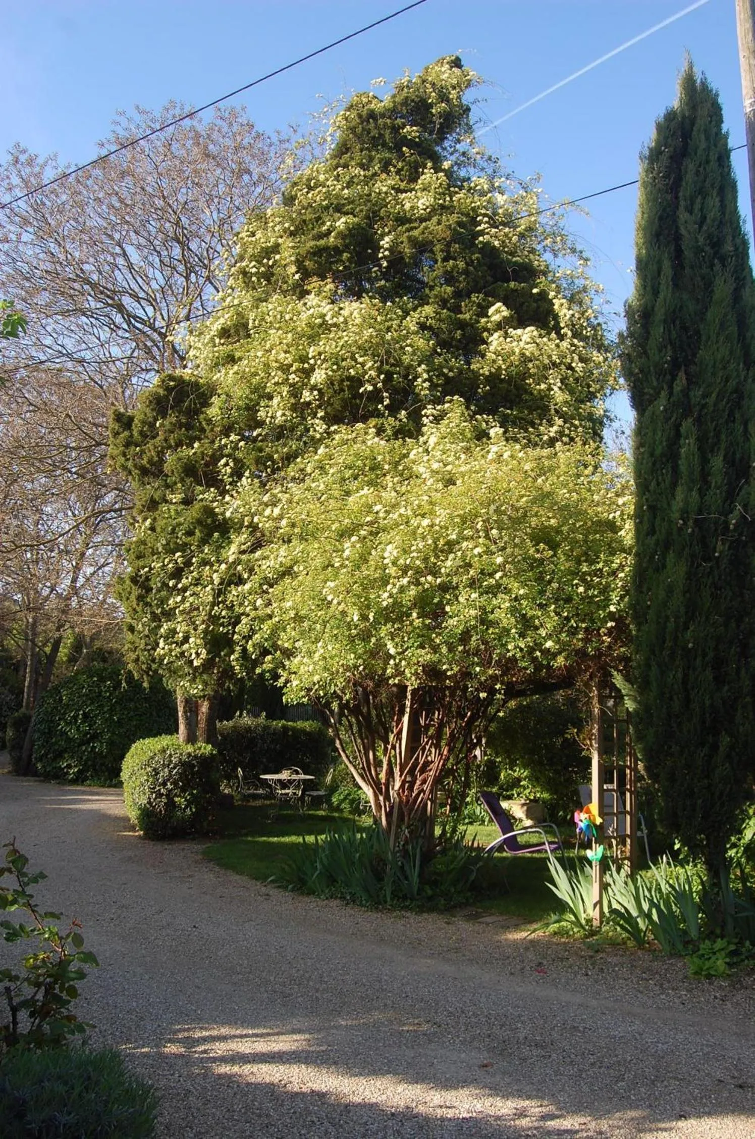 Garden in Le Mas des Clots