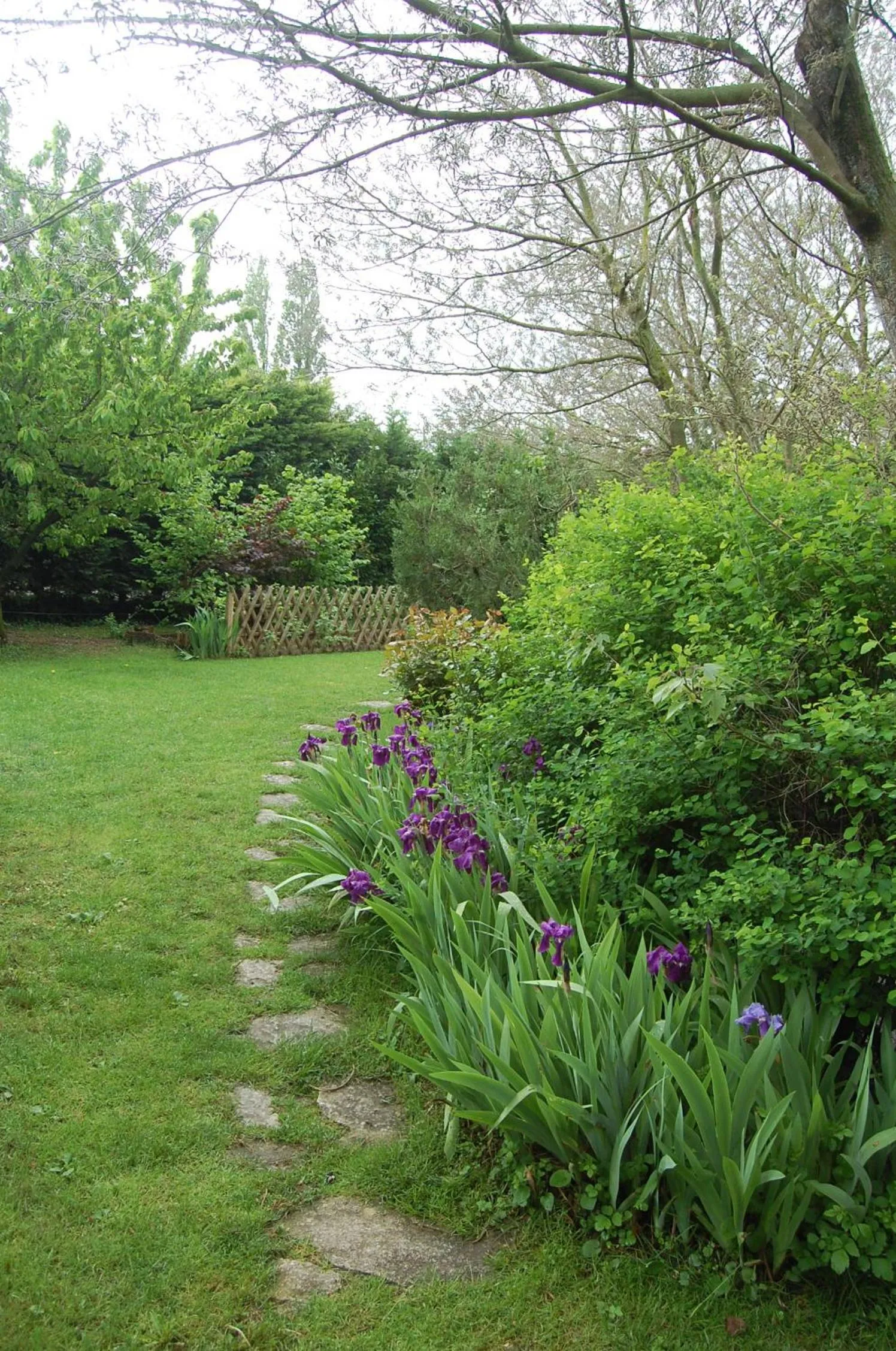 Garden in Le Mas des Clots