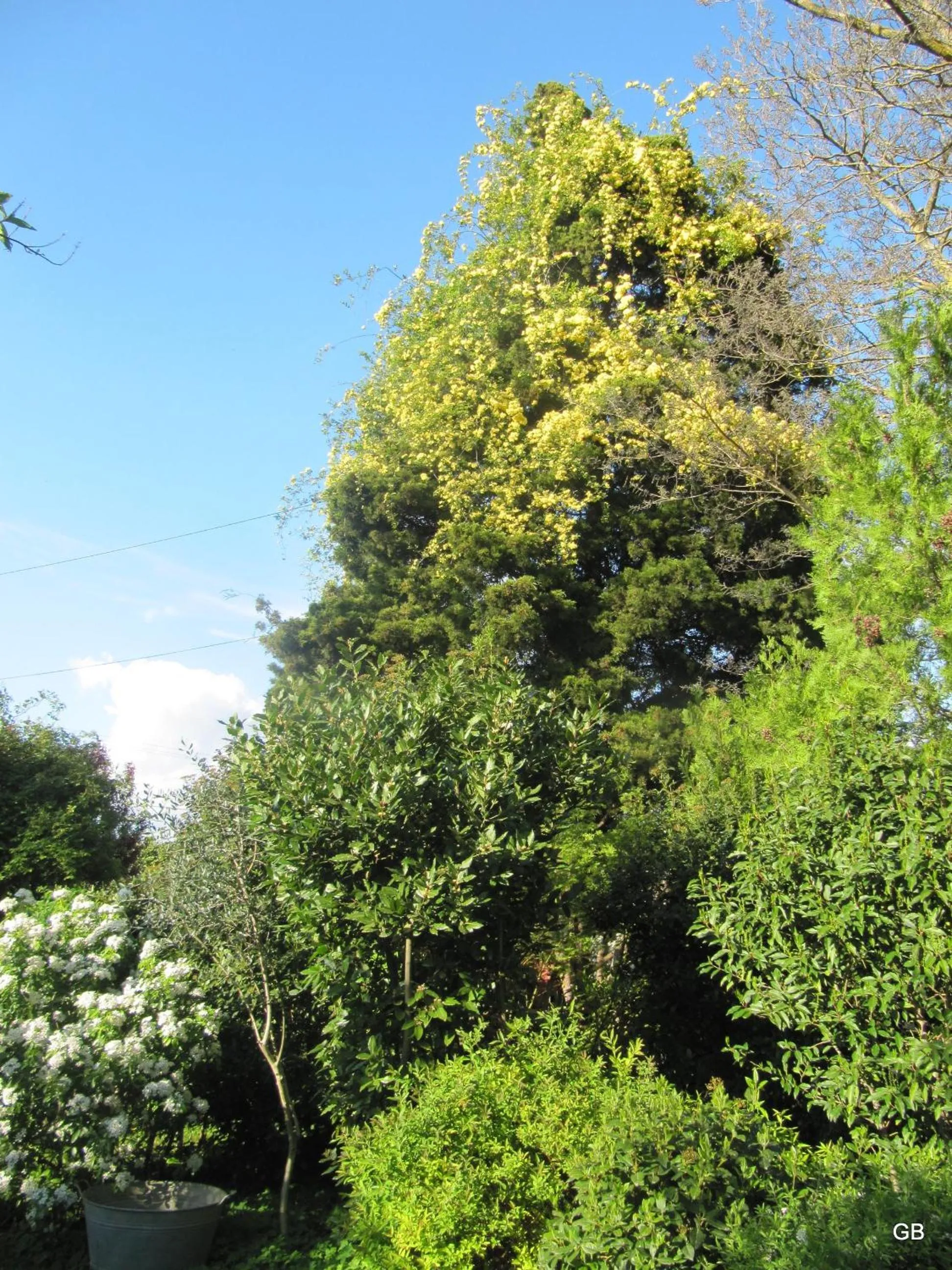 Garden view in Le Mas des Clots