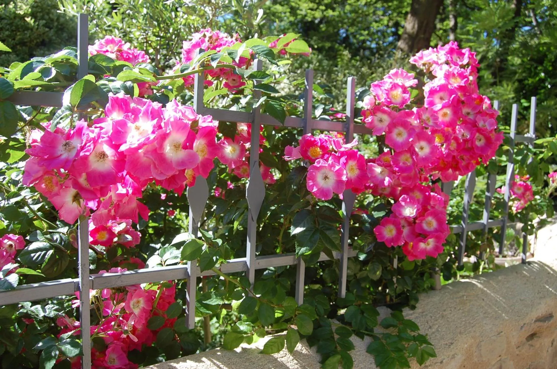 Spring in Le Mas des Clots