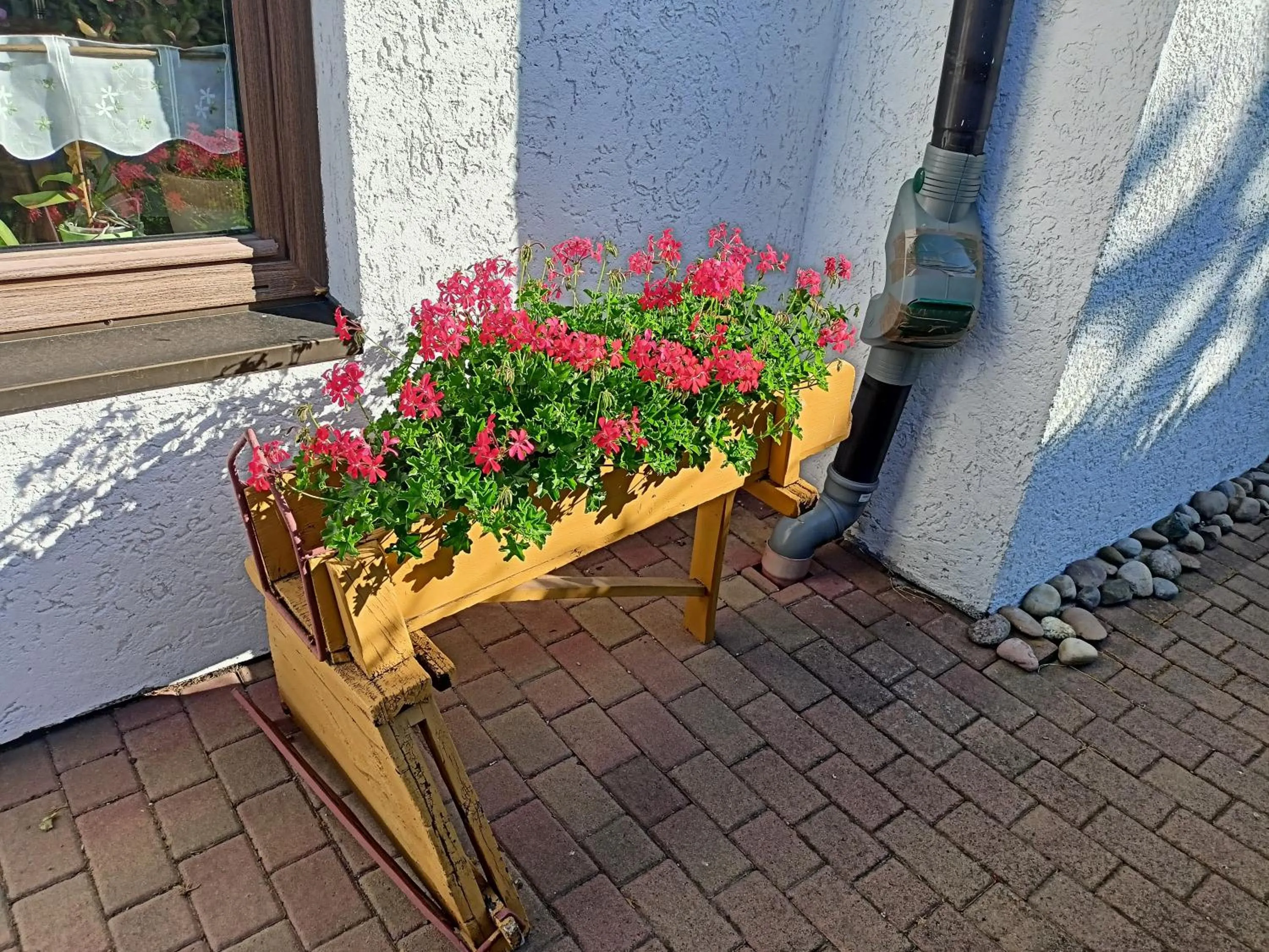 Garden in Pension Dreiländereck