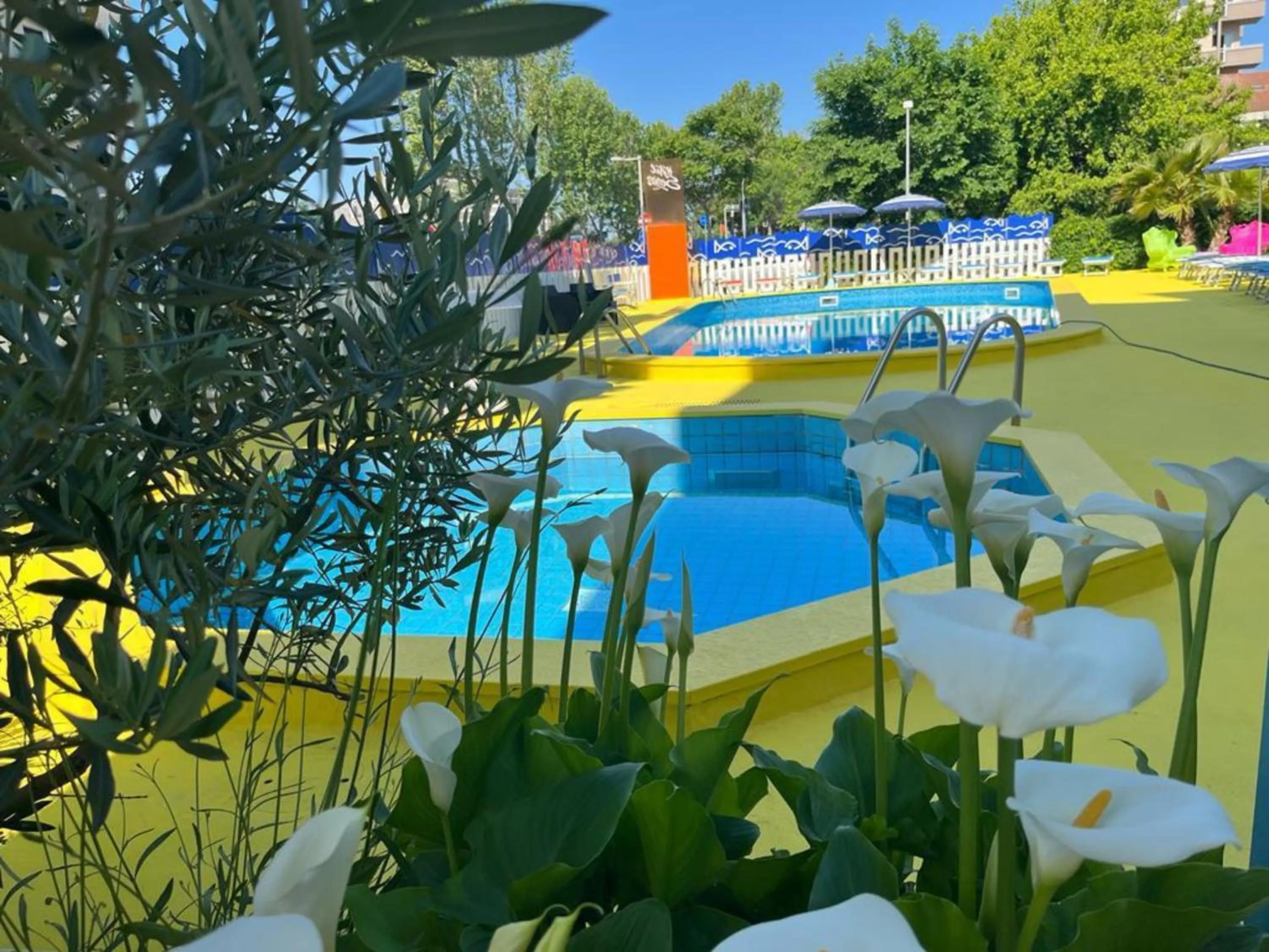 Swimming pool in Hotel Senior