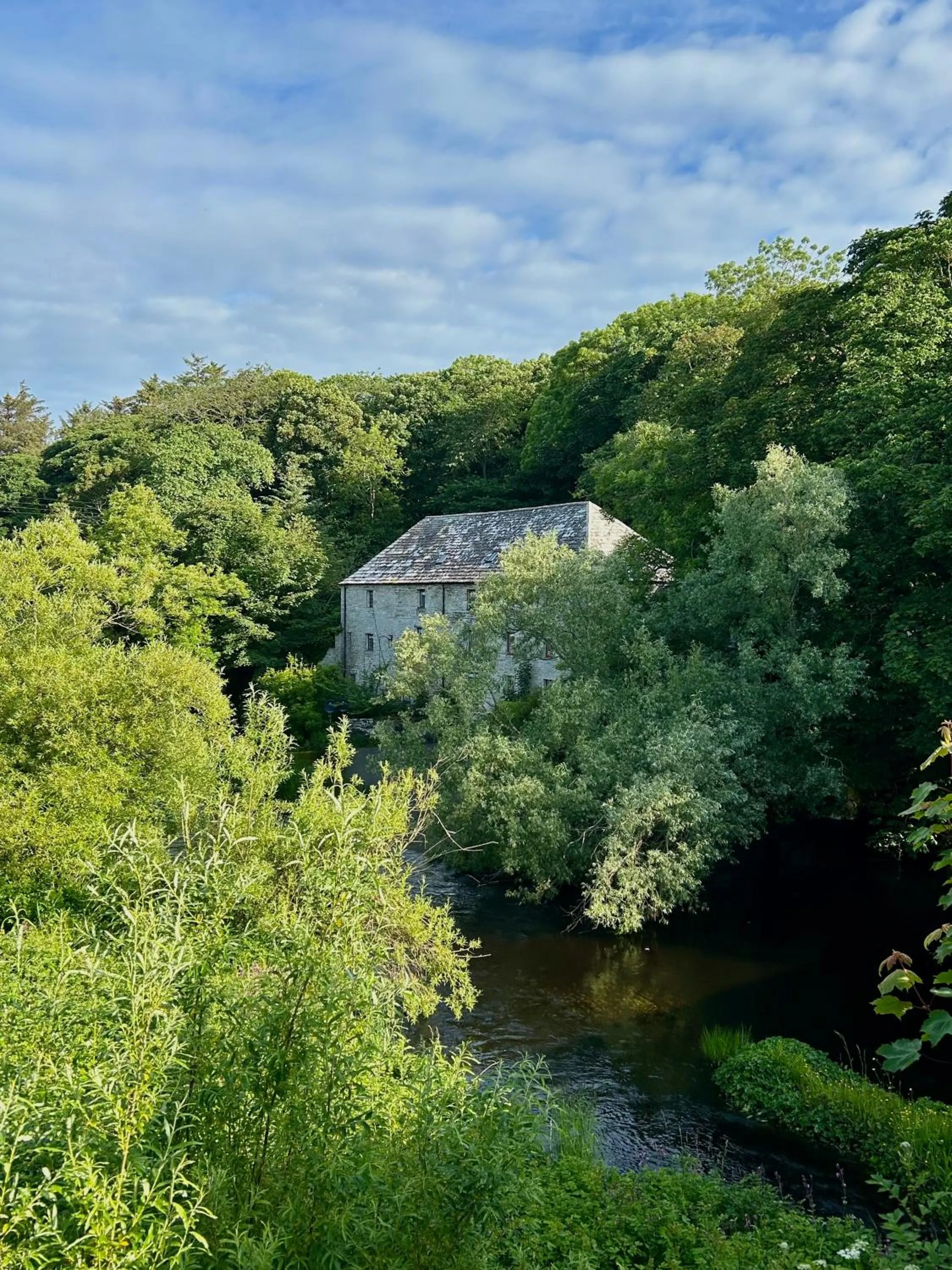 Property building in Forss House