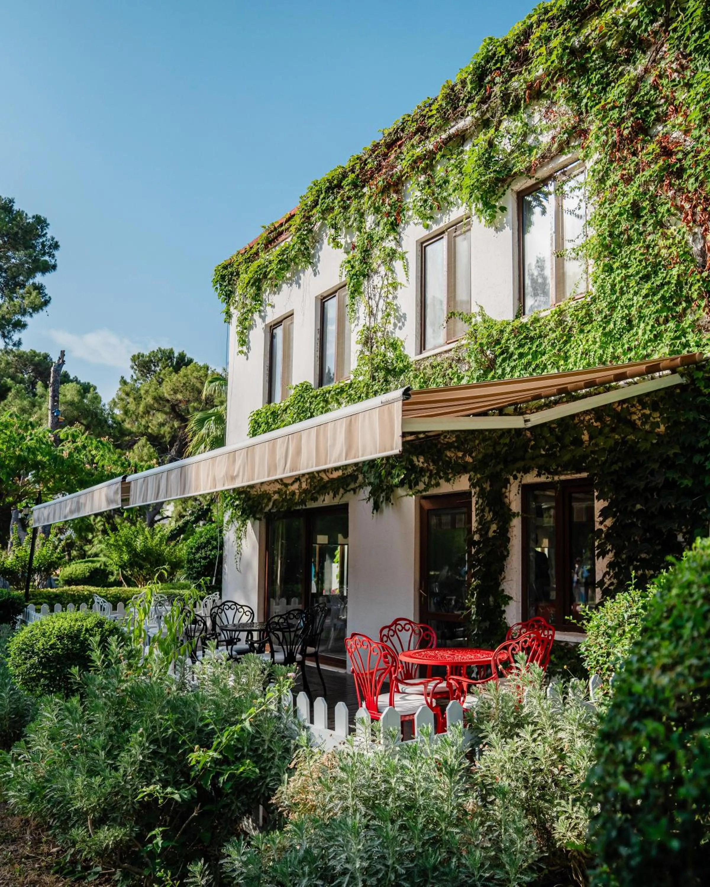 Lounge or bar in Club Marco Polo - Premium All Inclusive