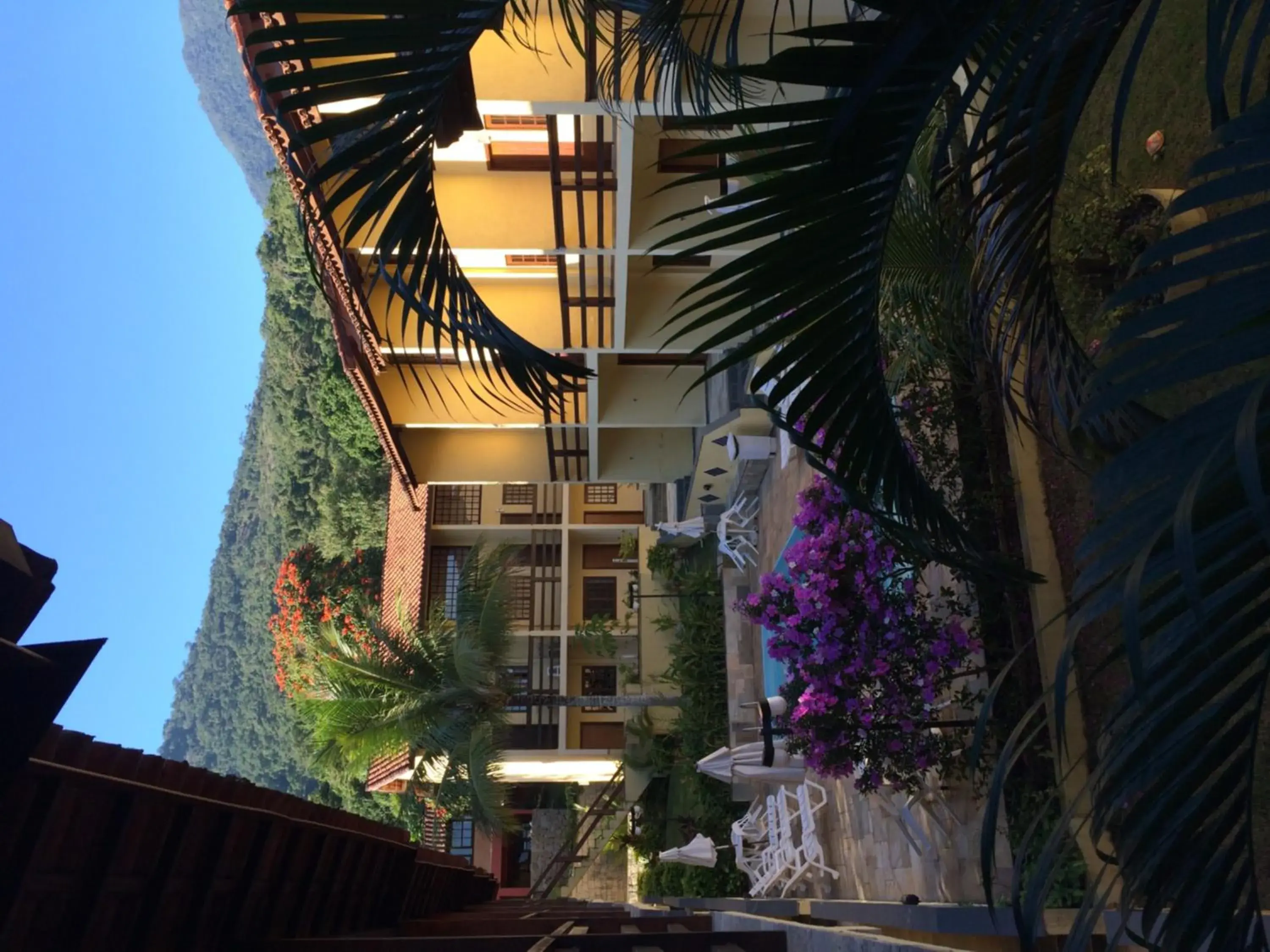 Garden in Hotel da Ilha Garden in Hotel da Ilha