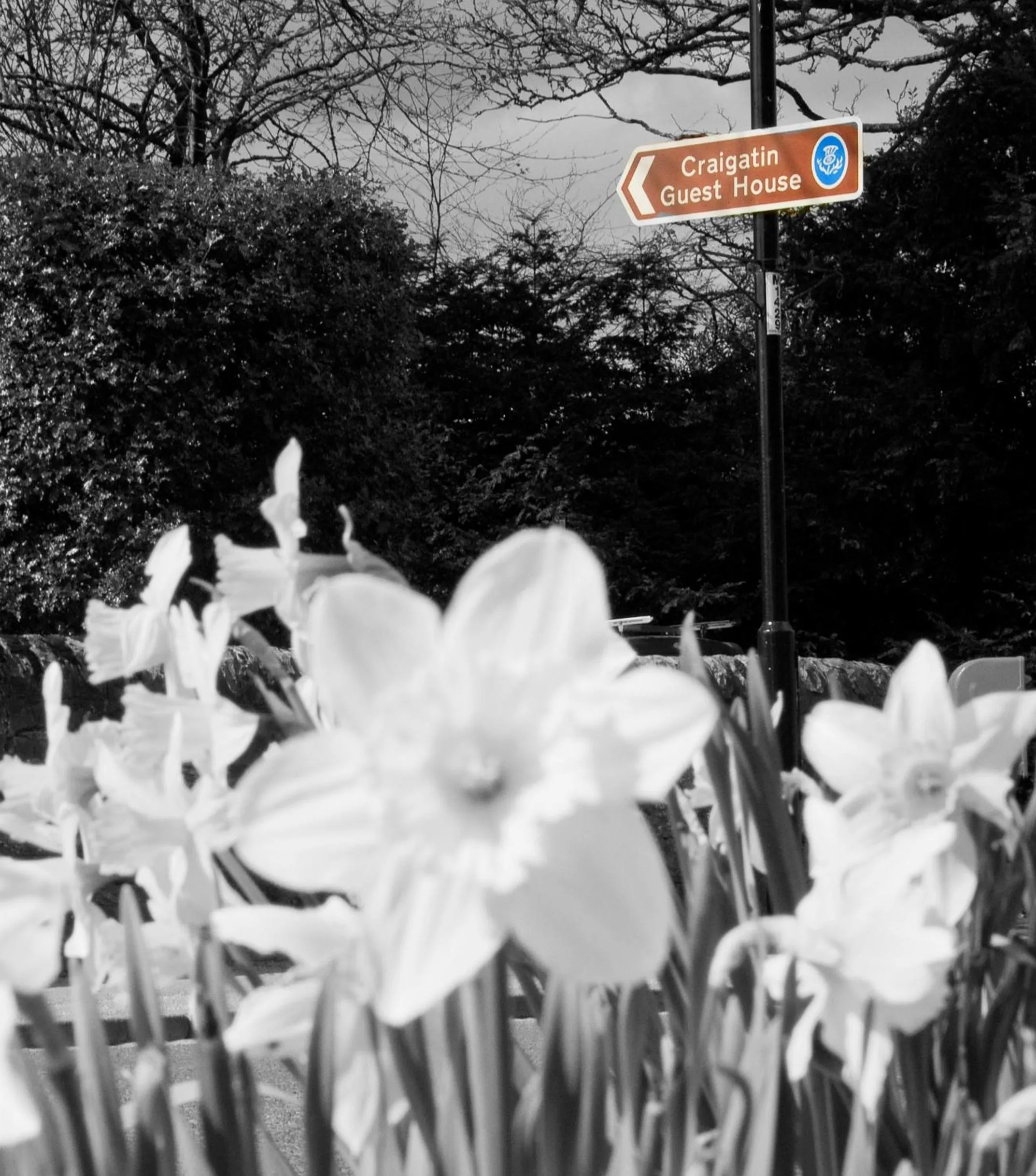 Property logo or sign in Craigatin House & Courtyard