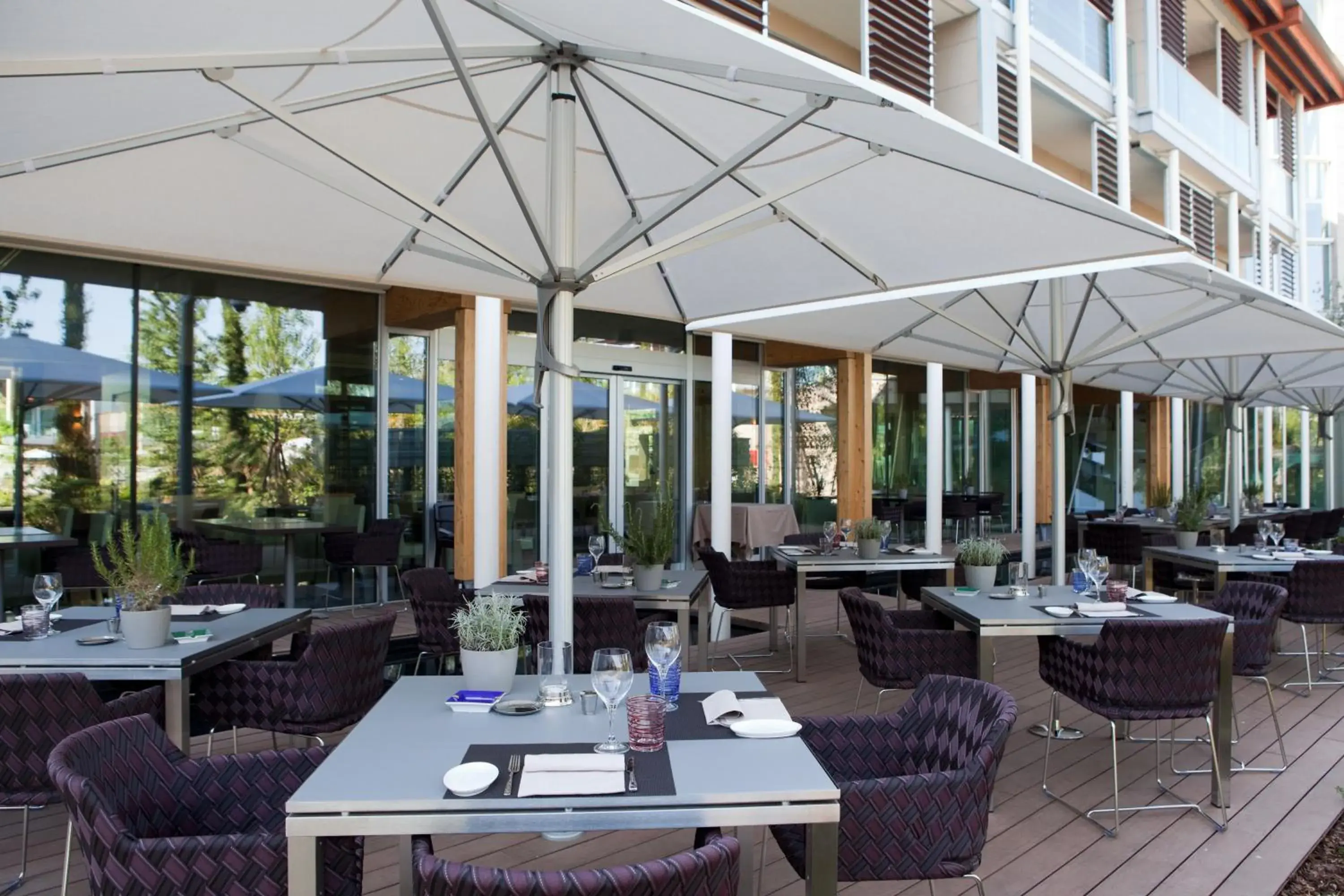 Restaurant/places to eat in Aqualux Hotel Spa Suite & Terme Restaurant/places to eat in Aqualux Hotel Spa Suite & Terme