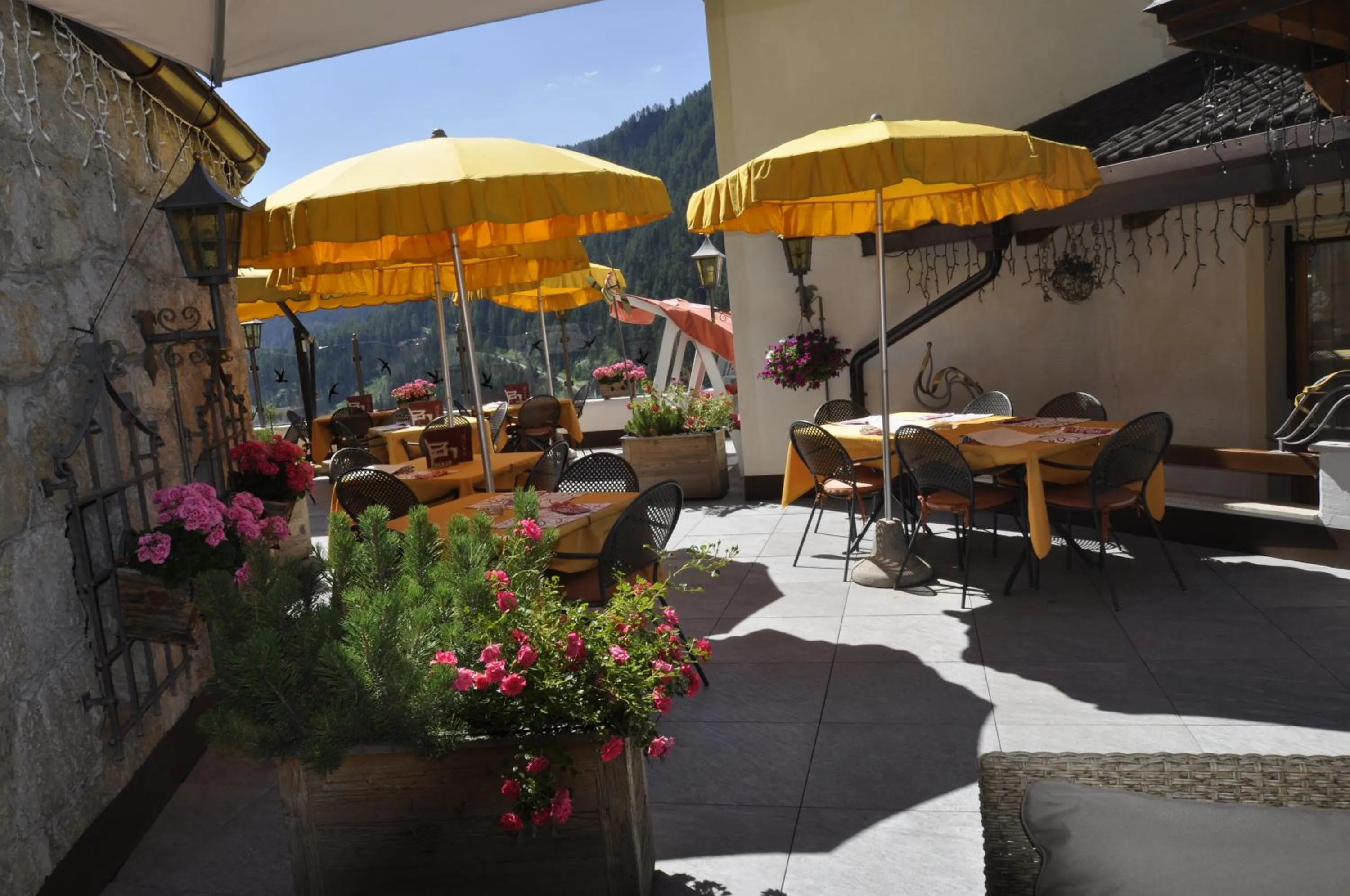 Garden in Hotel Al Forte