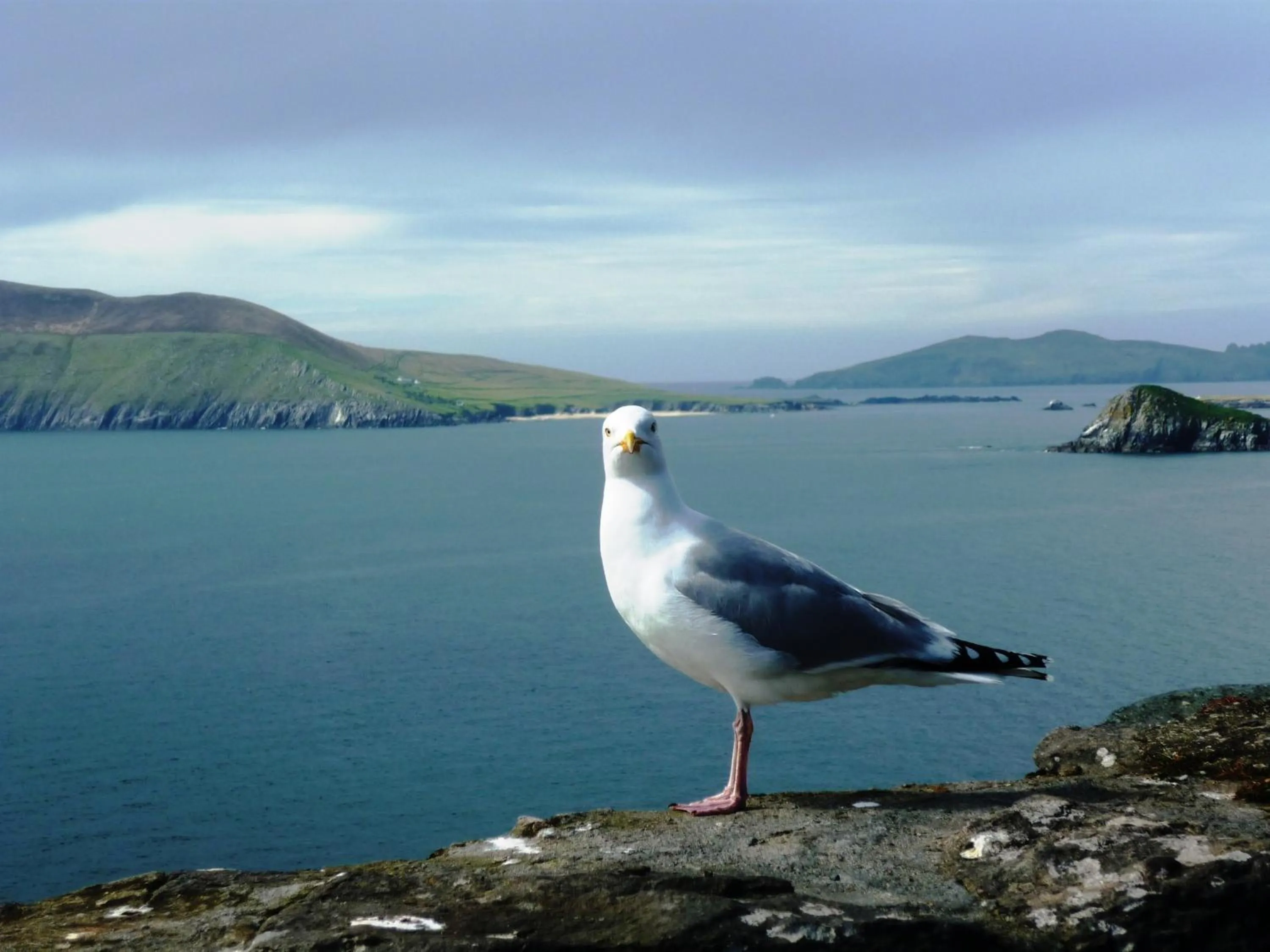 Nearby landmark in Cill Bhreac House B&B