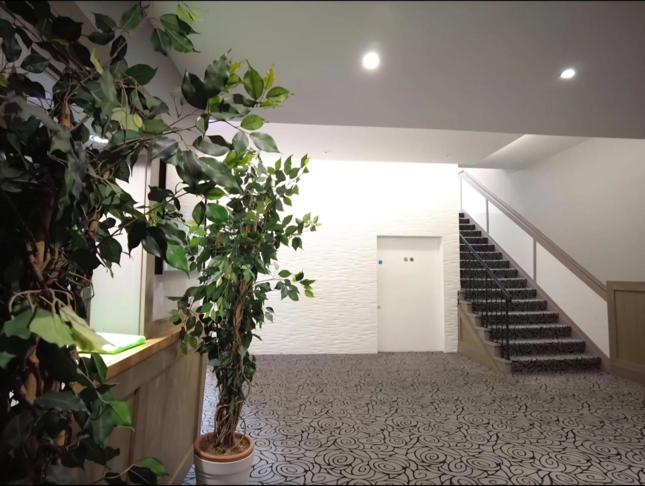 Lobby or reception in Kings Park Hotel