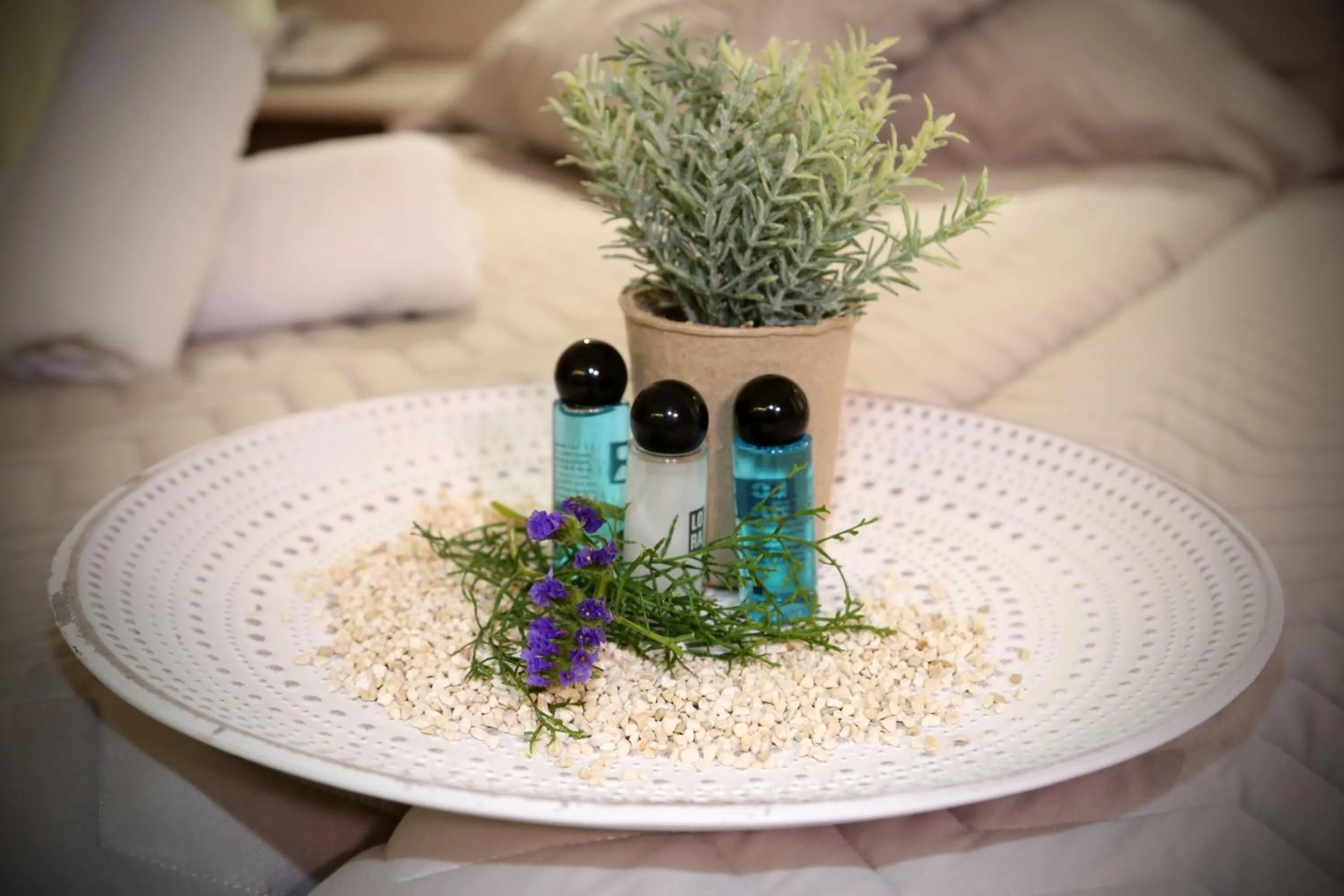 Pier Beach Hotel Apartments