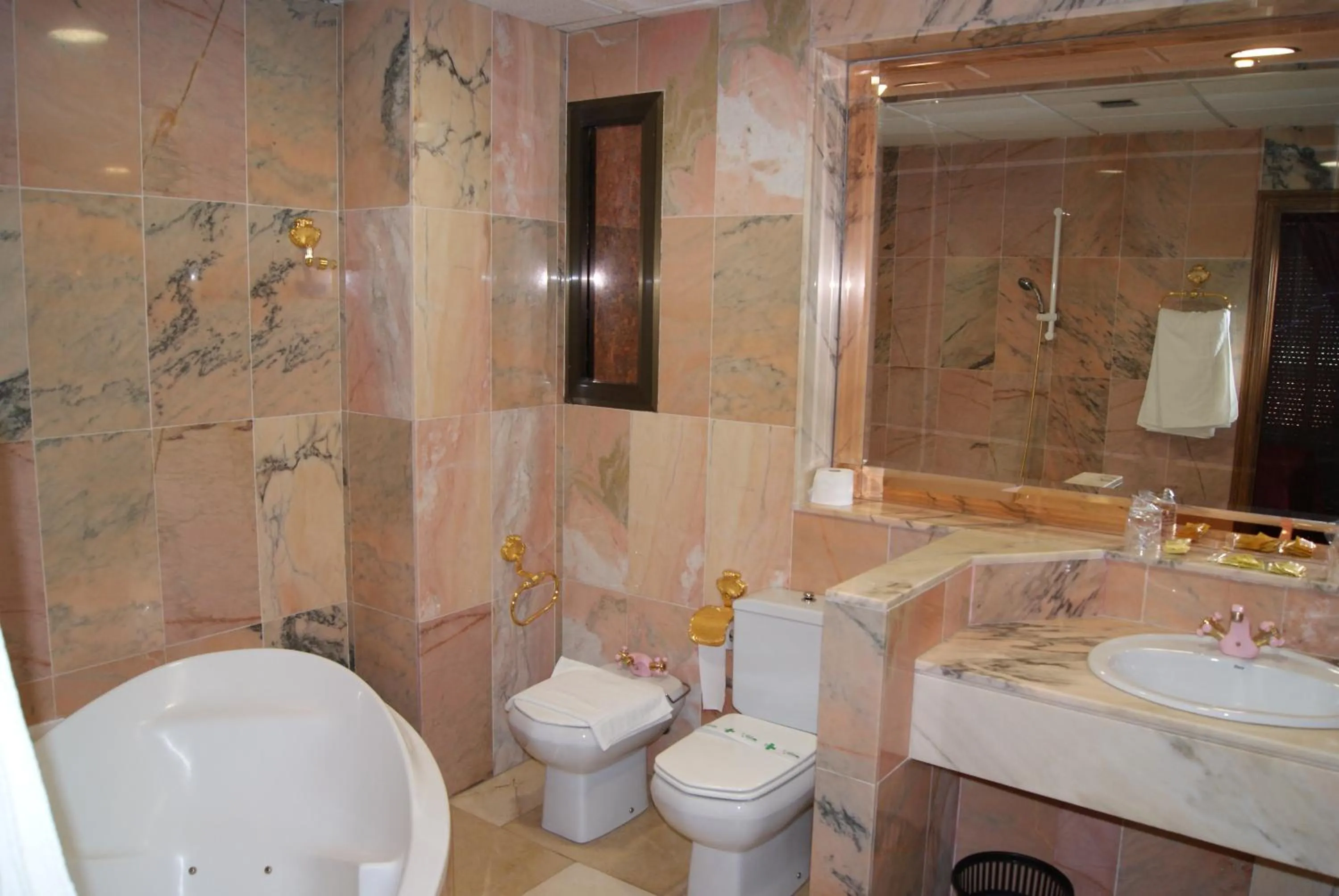 Toilet in Hotel Reina Victoria