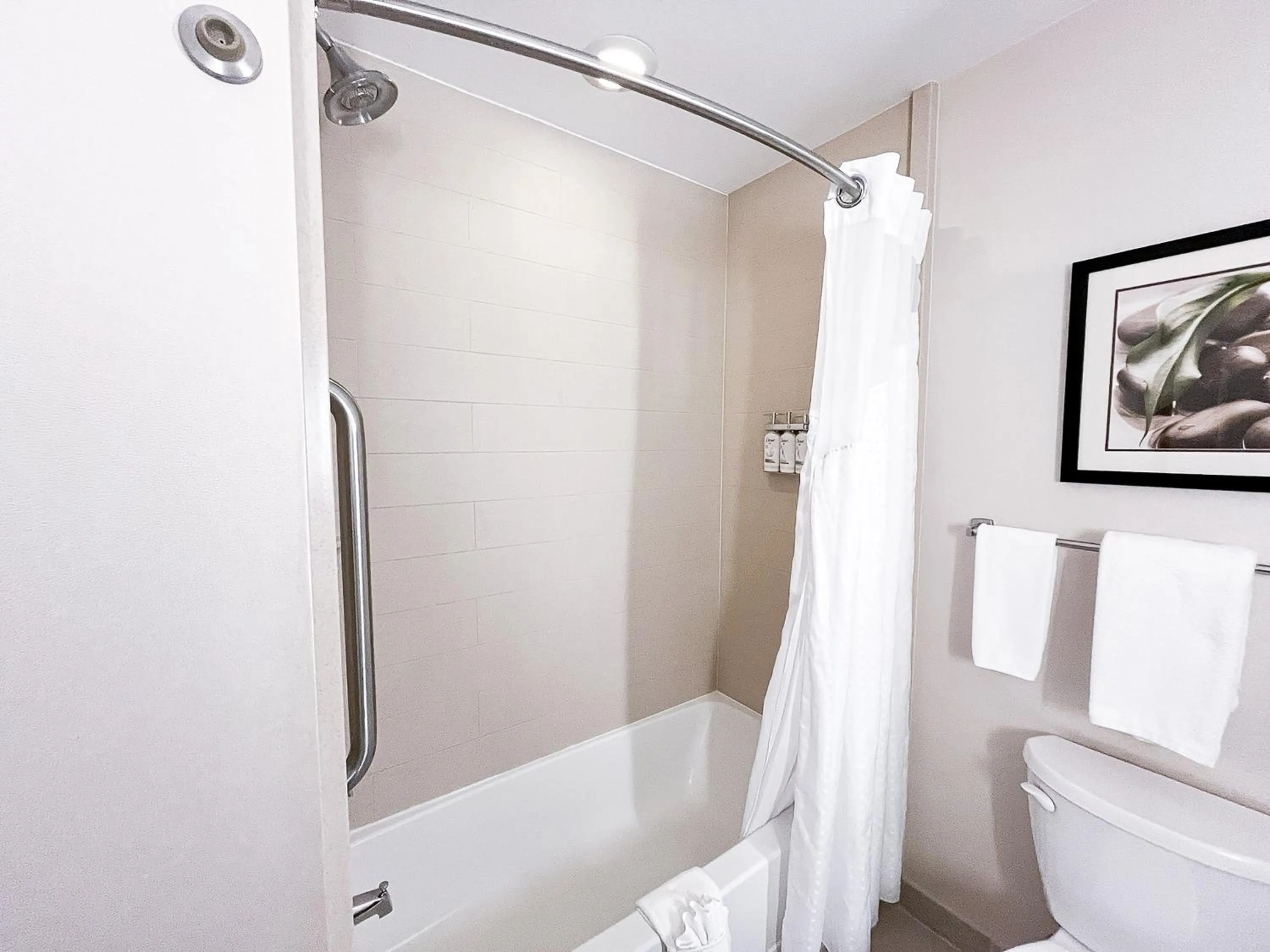 Bathroom in Holiday Inn Express & Suites Morton Peoria Area by IHG