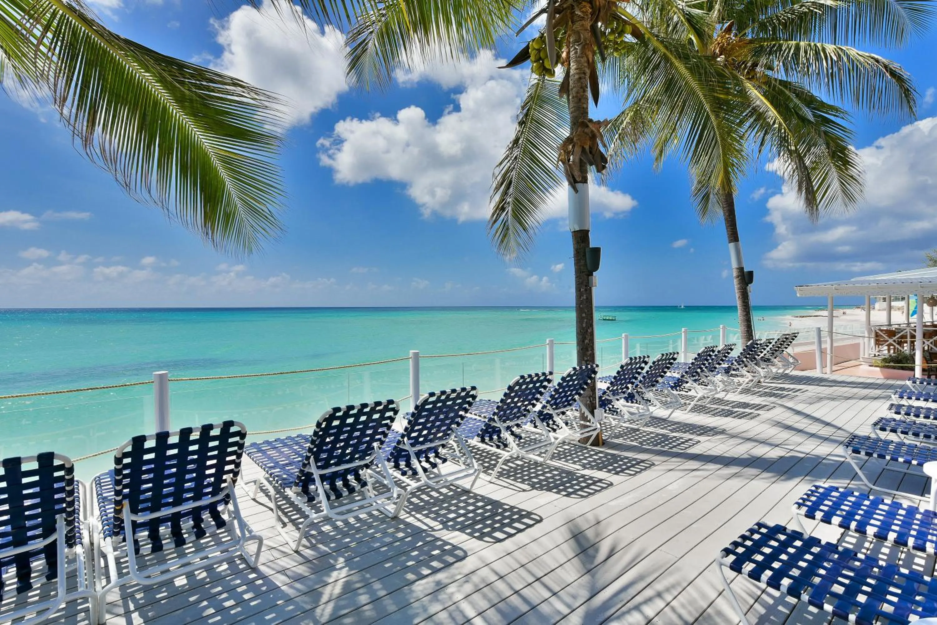 Beach in Butterfly Beach Hotel