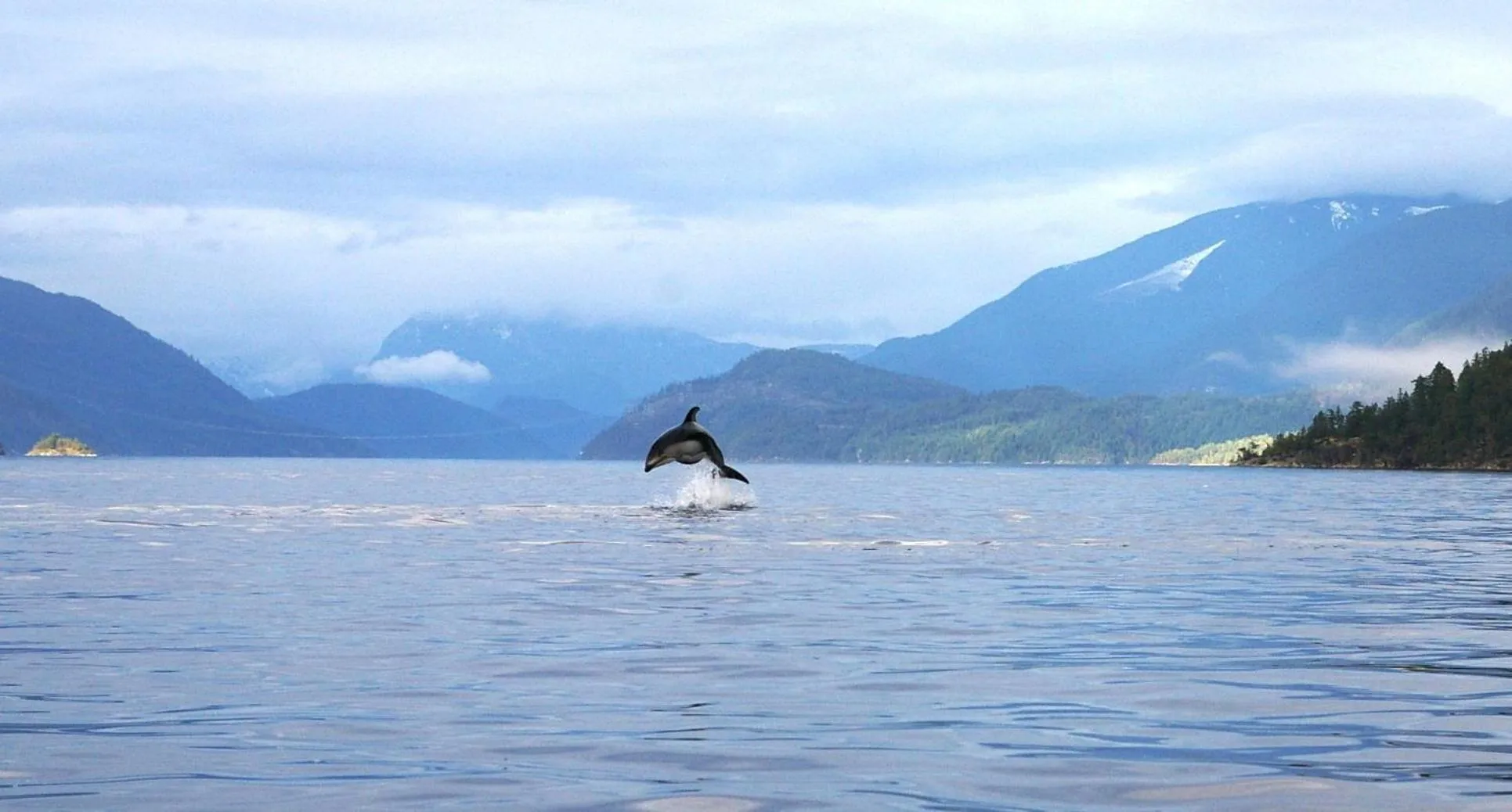 Sea view in The Tuwanek Hotel and Spa