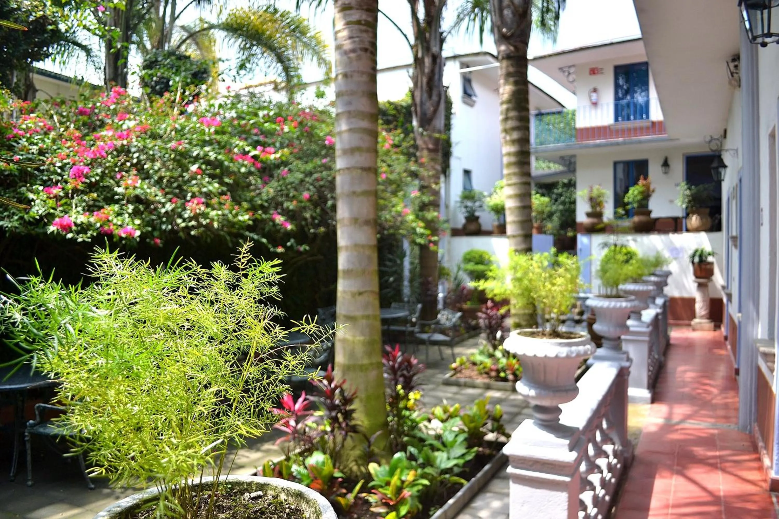 Garden in Posada del Cafeto