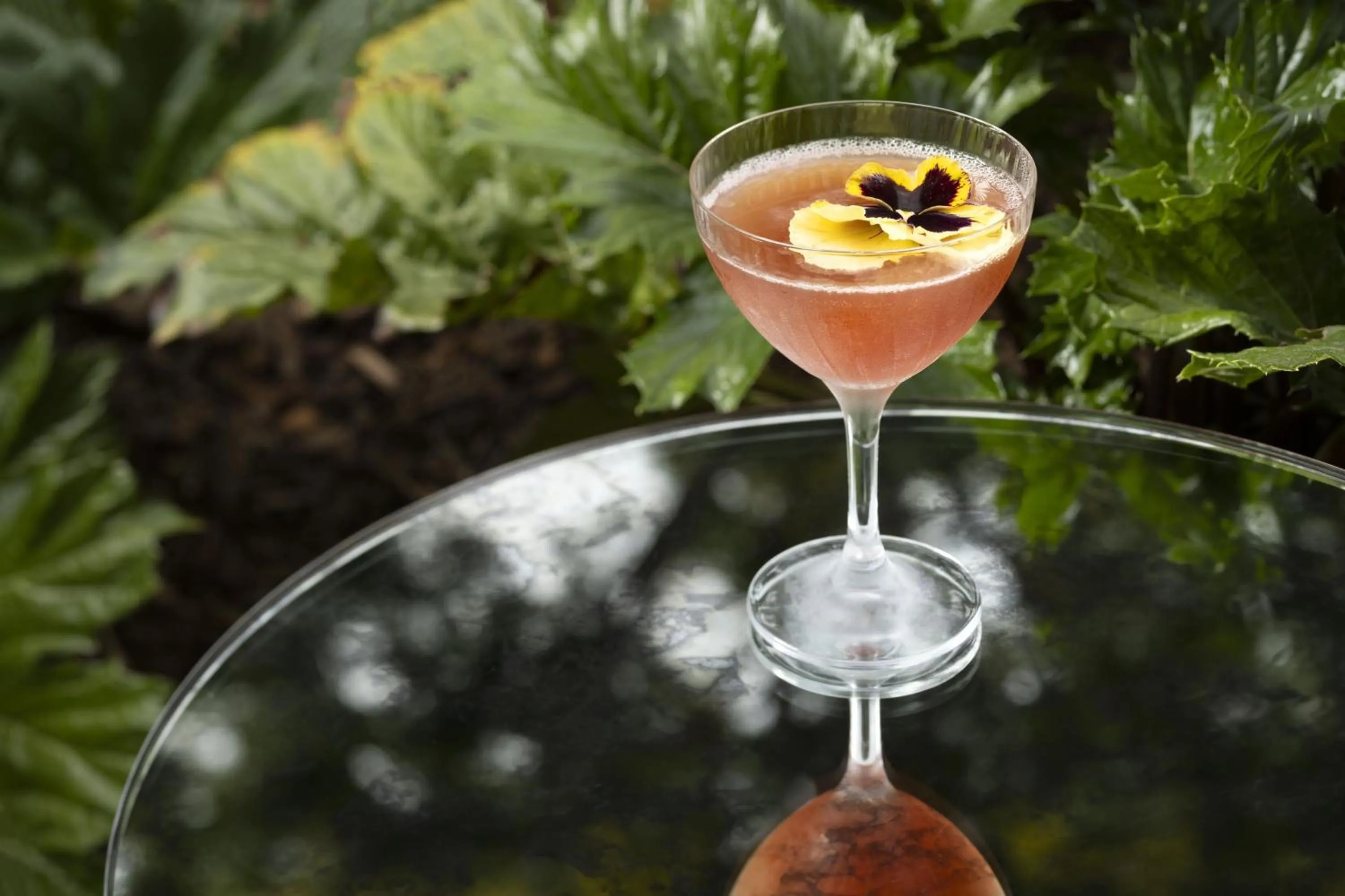 Lounge or bar in The Steward, Santa Barbara, a Tribute Portfolio Hotel