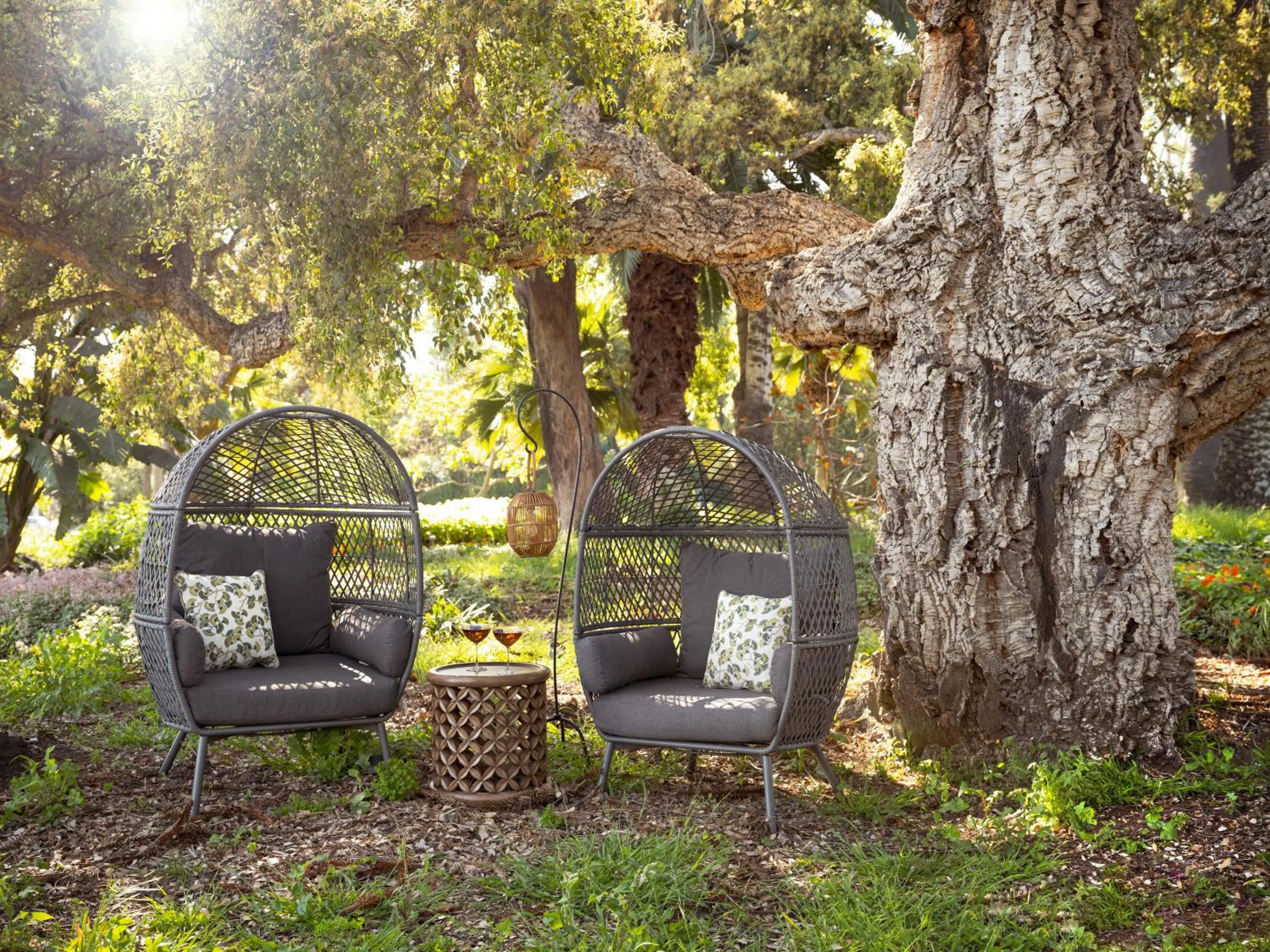 Natural landscape in The Steward, Santa Barbara, a Tribute Portfolio Hotel