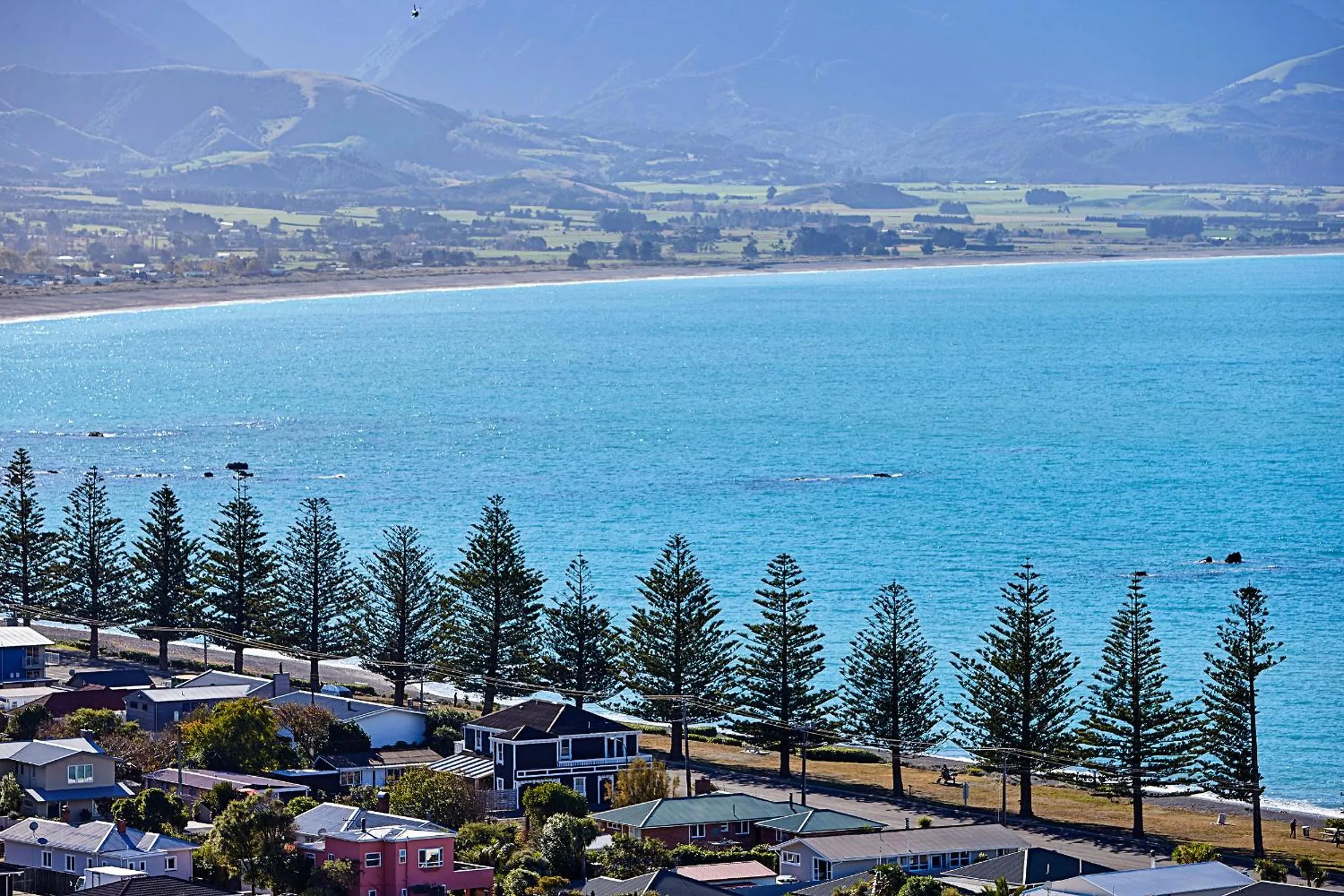 Day in Boutique Hotel Kaikoura