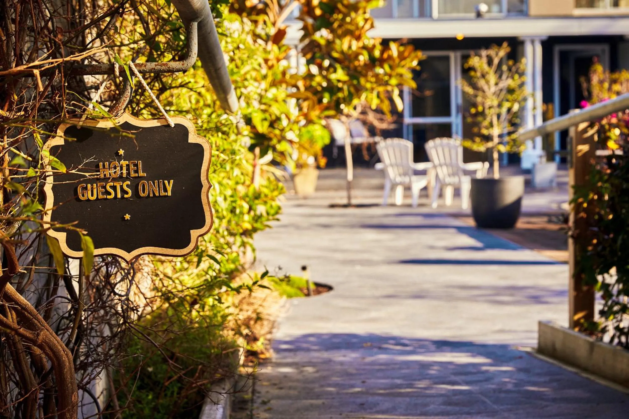 Boutique Hotel Kaikoura