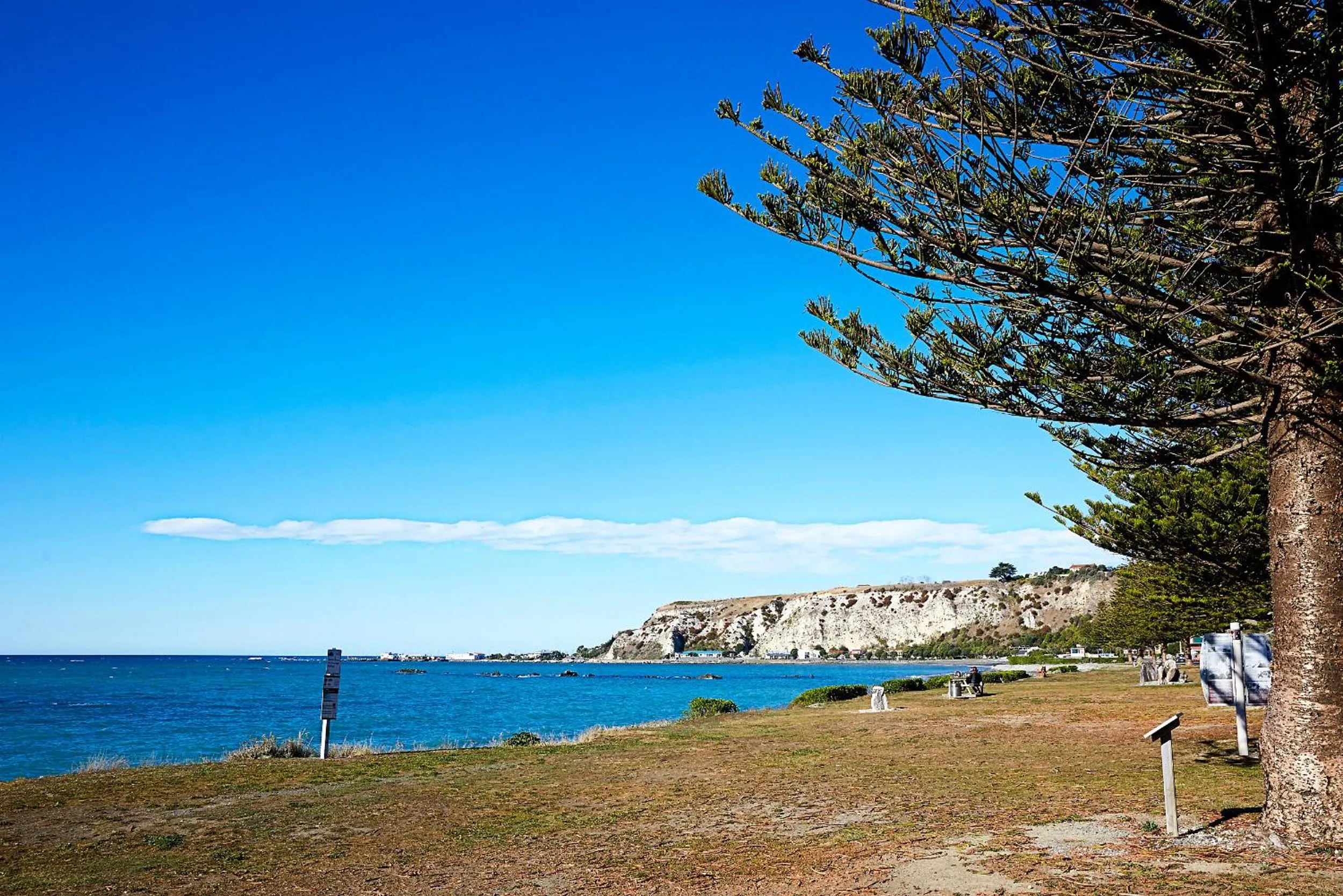 Day in Boutique Hotel Kaikoura