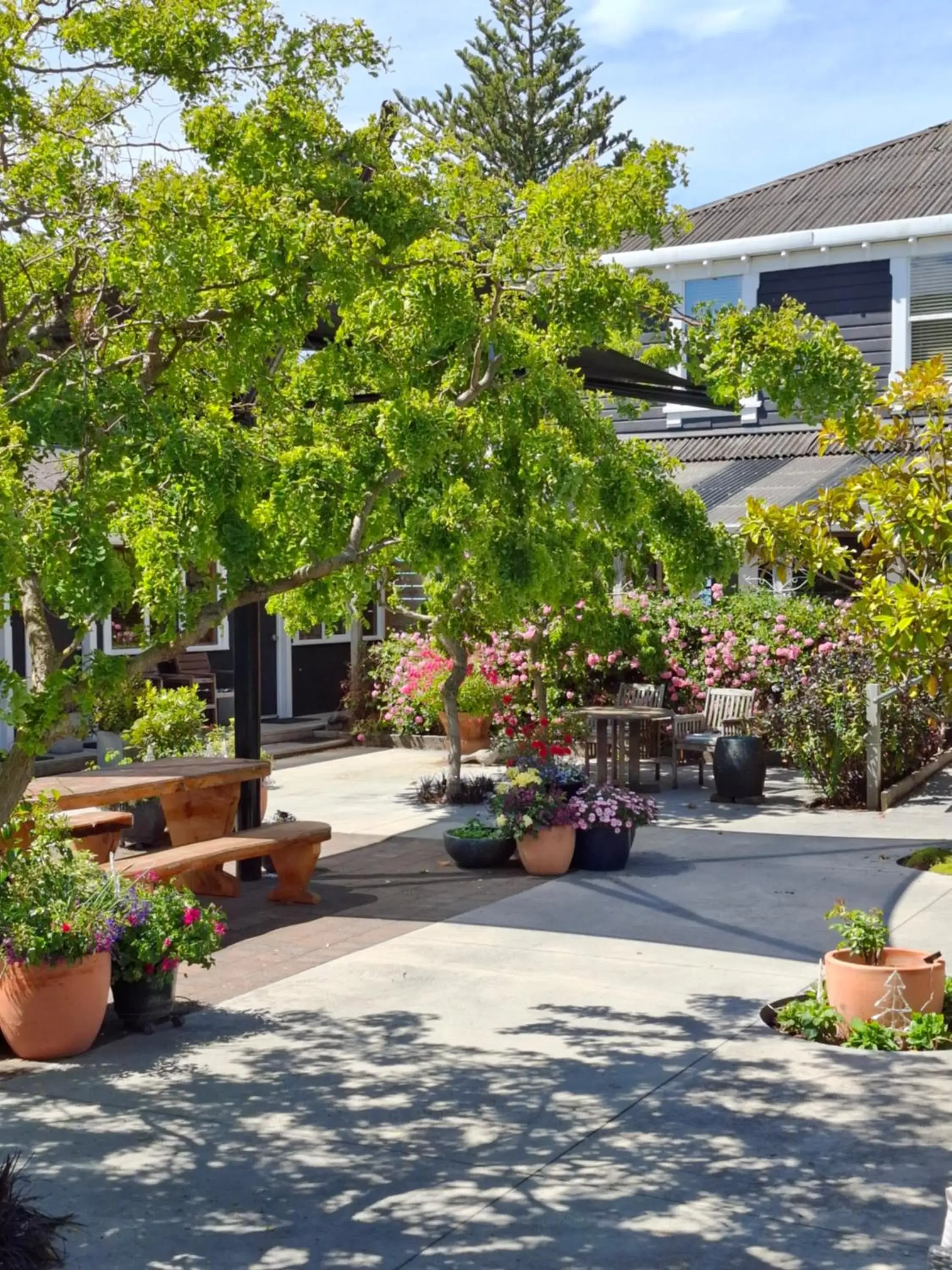 Standard Courtyard Room in Boutique Hotel Kaikoura Standard Courtyard Room in Boutique Hotel Kaikoura