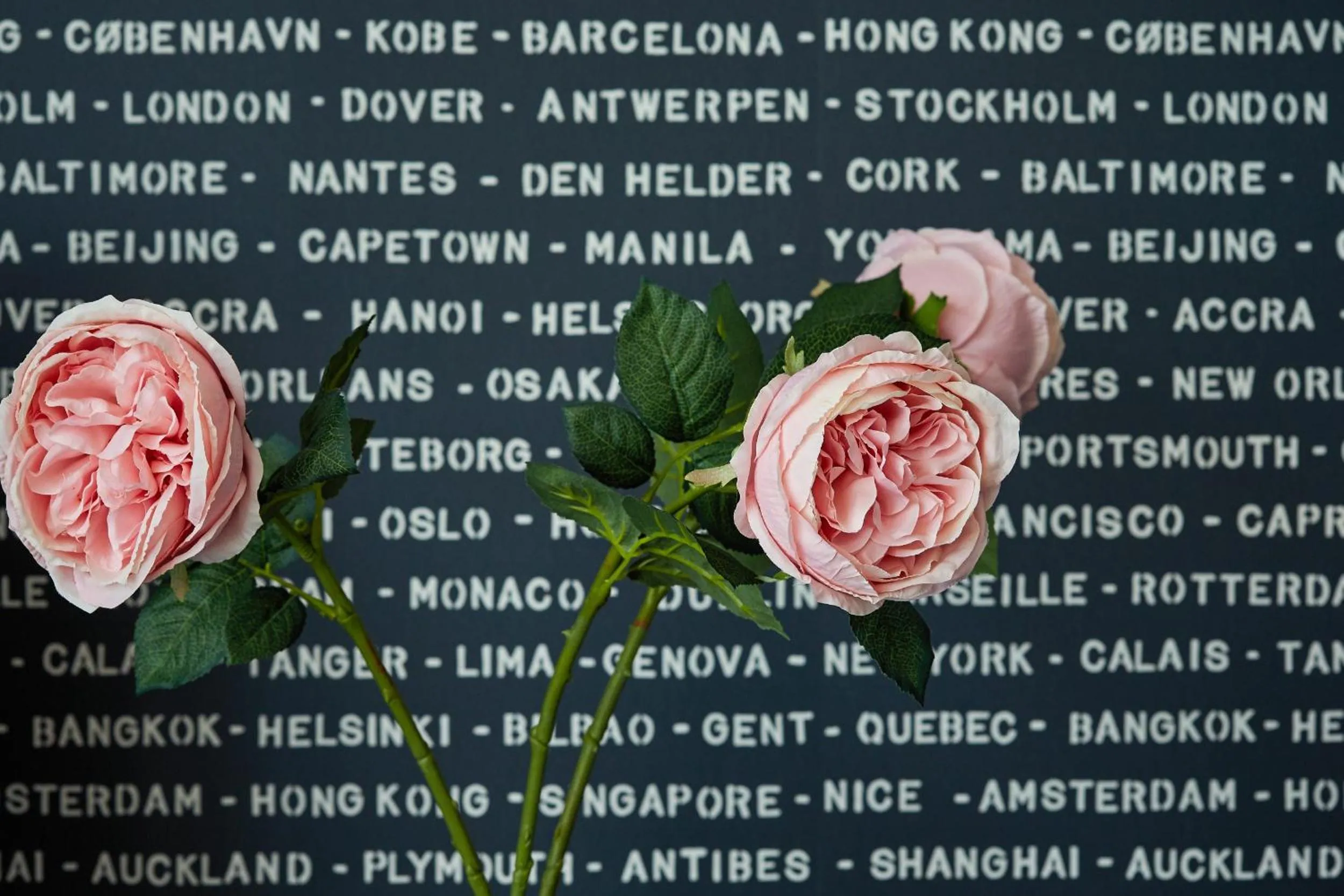 Boutique Hotel Kaikoura