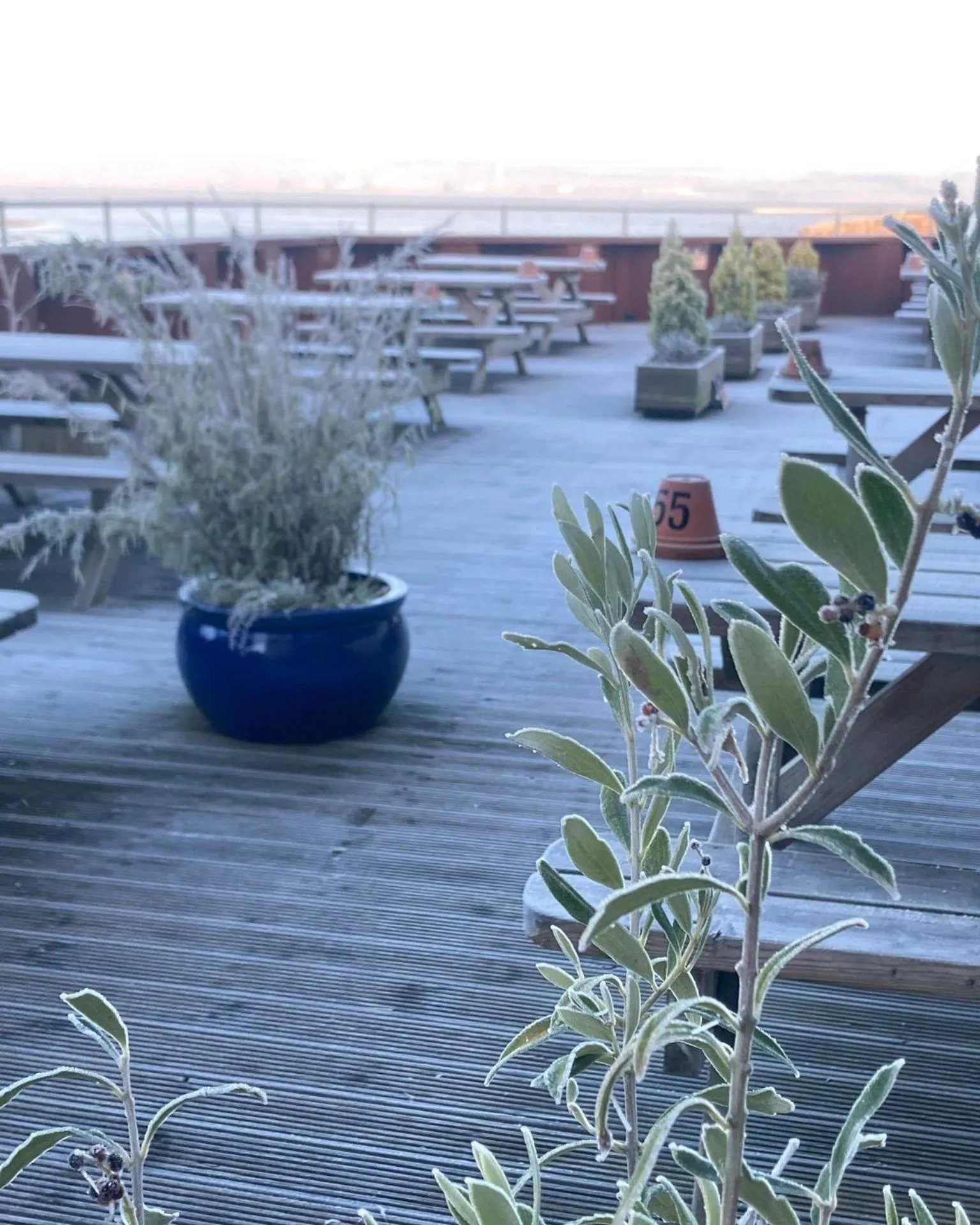 Balcony/Terrace in The Hope and Anchor Pub