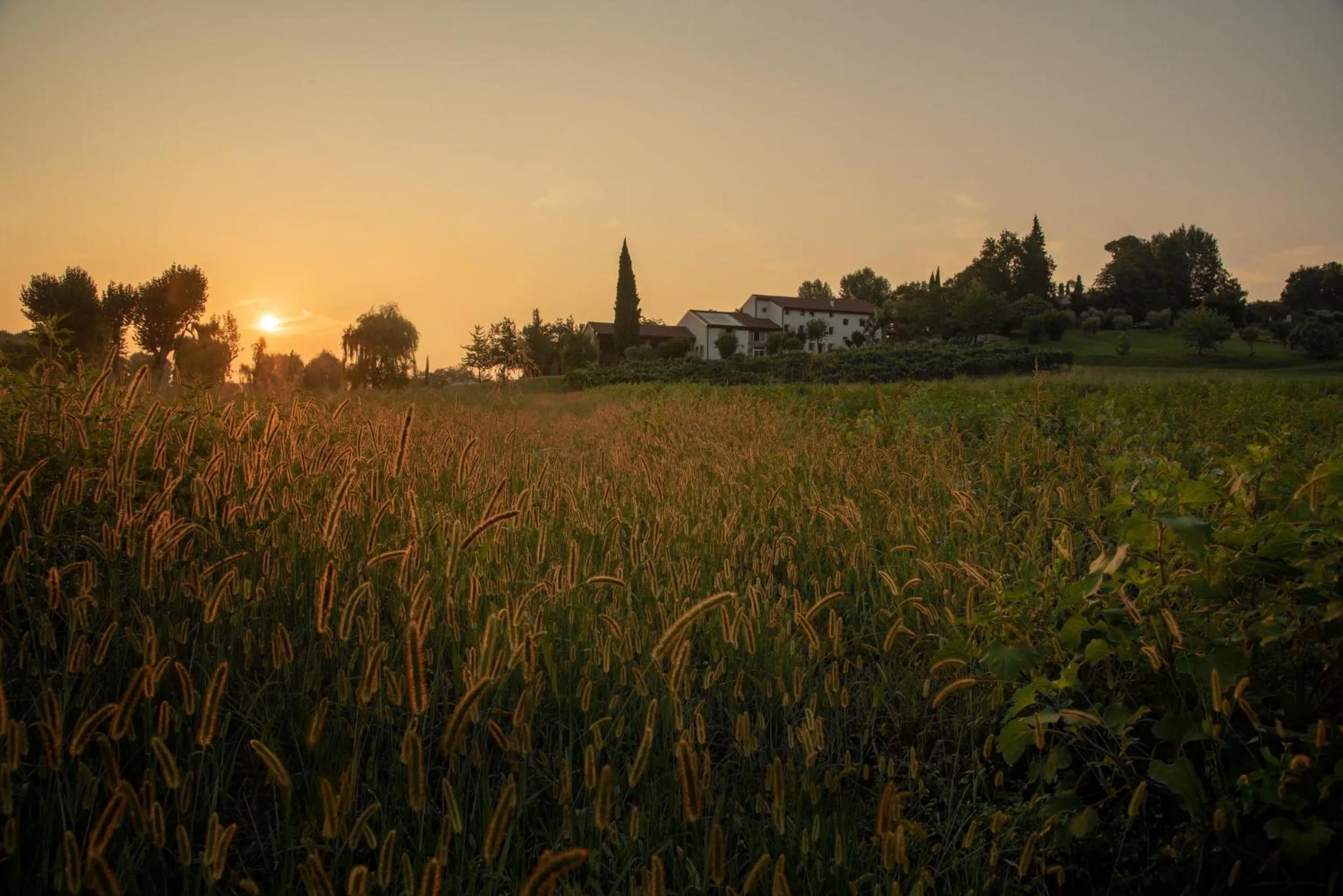 Property building in Agriturismo Relais Maddalene101