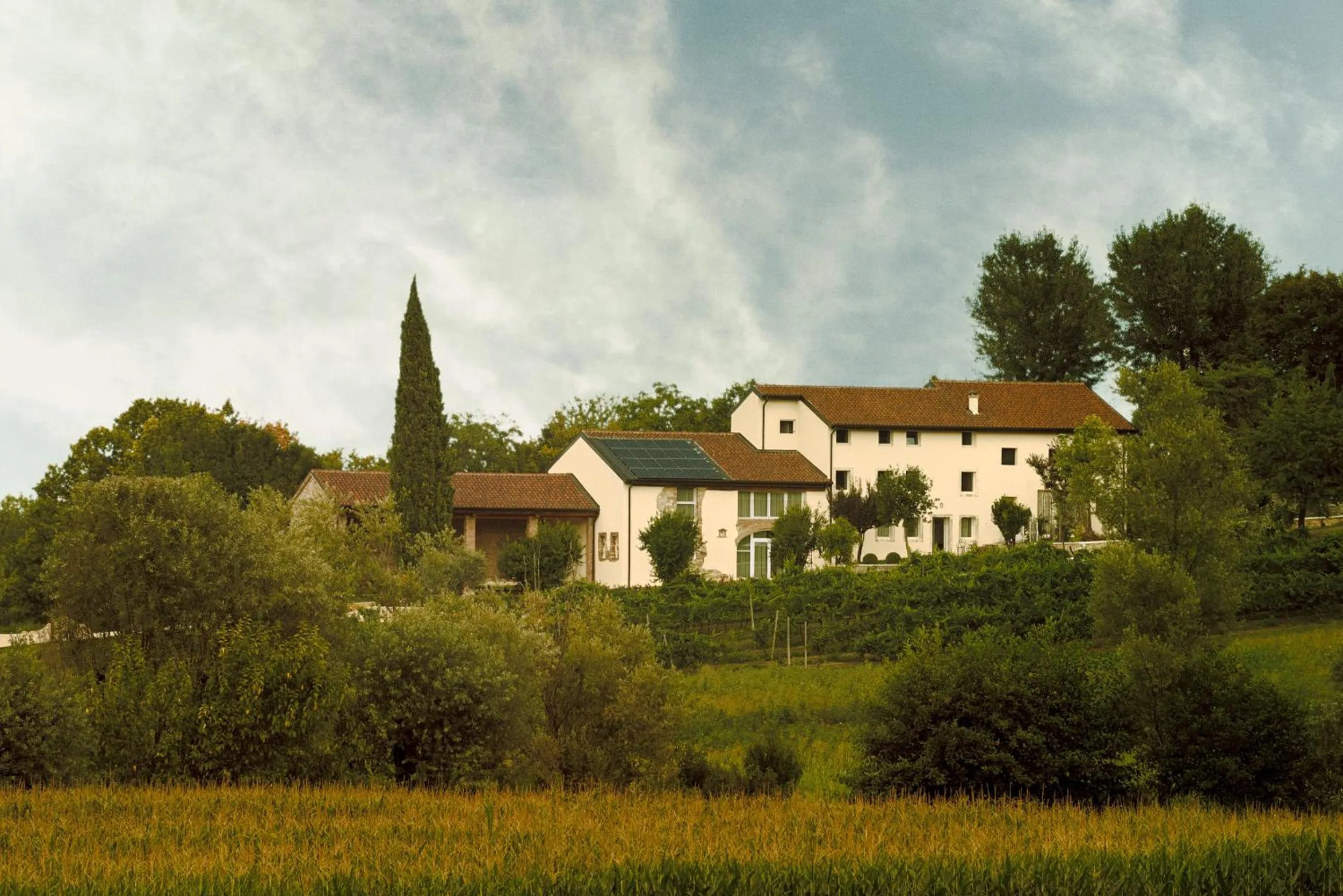 Other in Agriturismo Relais Maddalene101