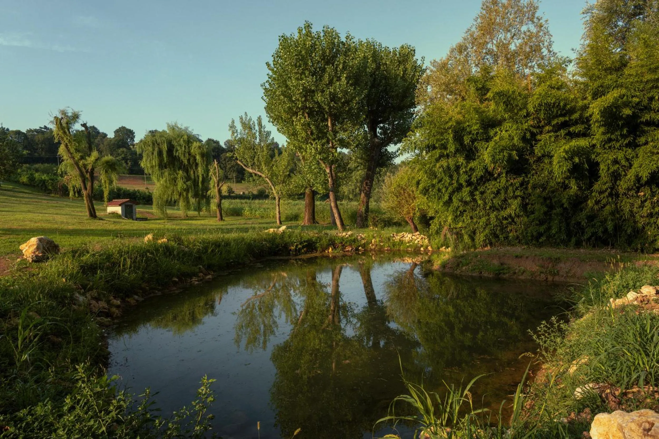 Natural landscape in Agriturismo Relais Maddalene101