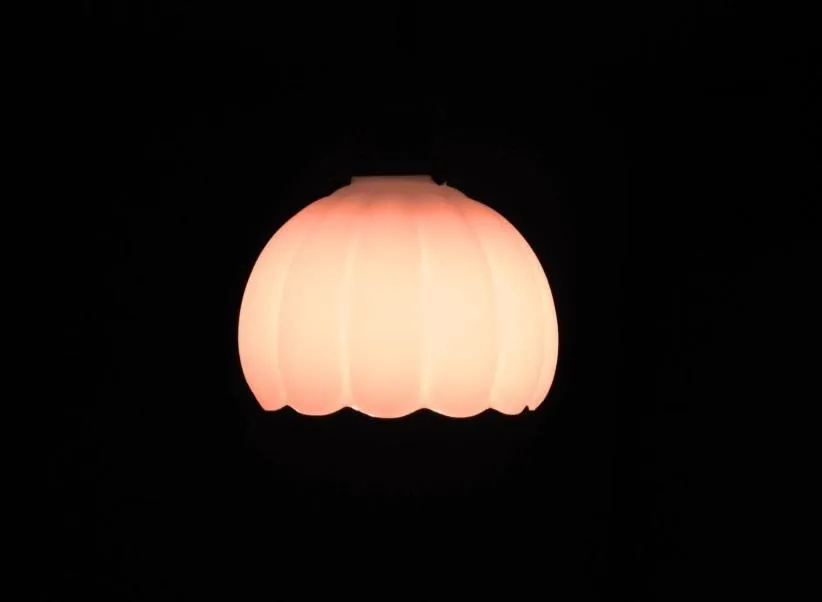 Decorative detail in Guest House Kingyoya