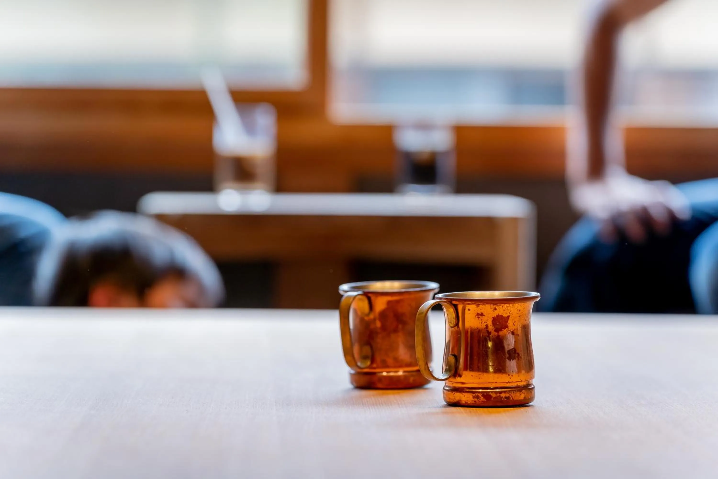 Living room in Ryokan Yamazaki