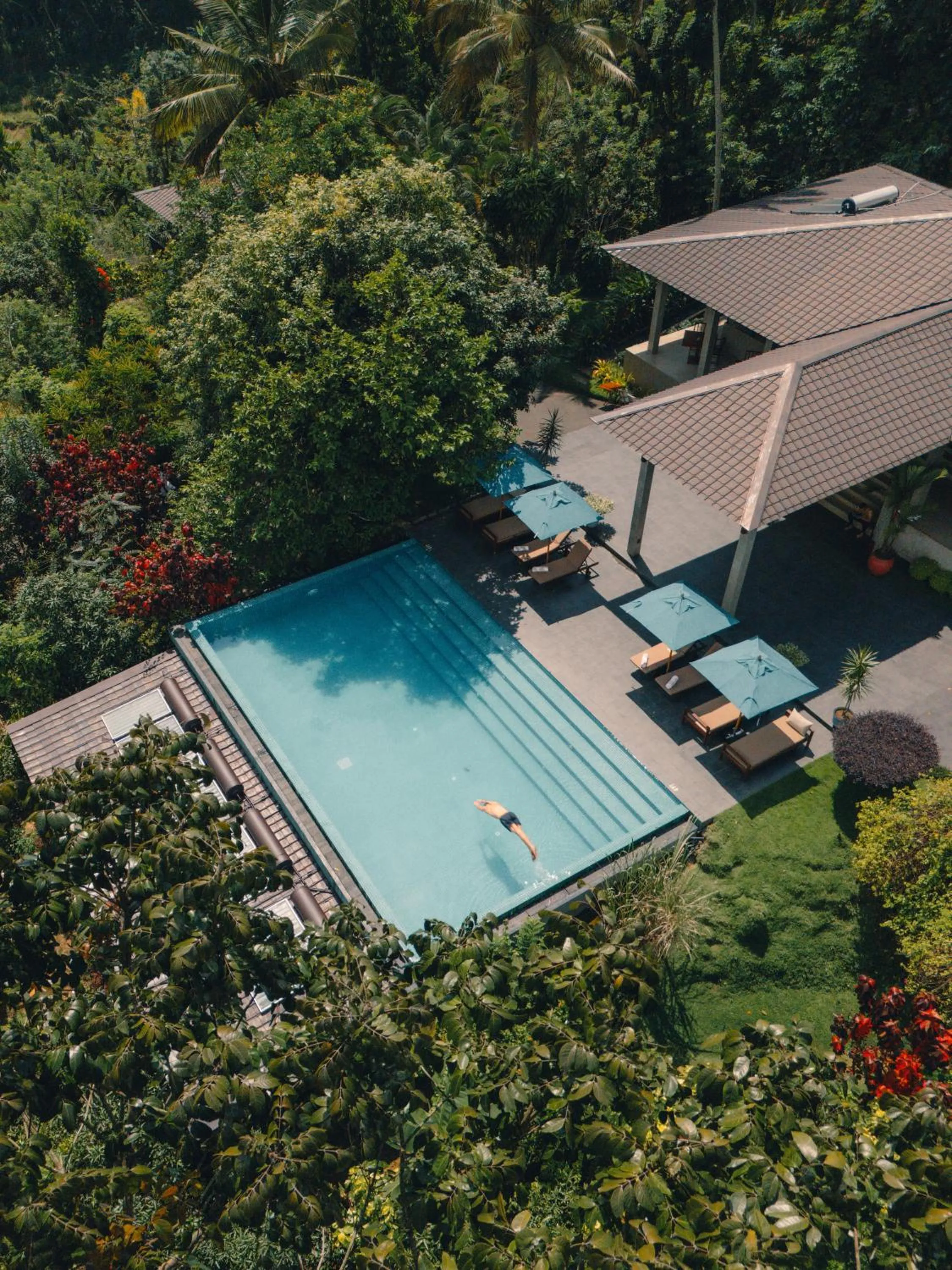 Swimming pool in Aarunya Nature Resort - Kandy