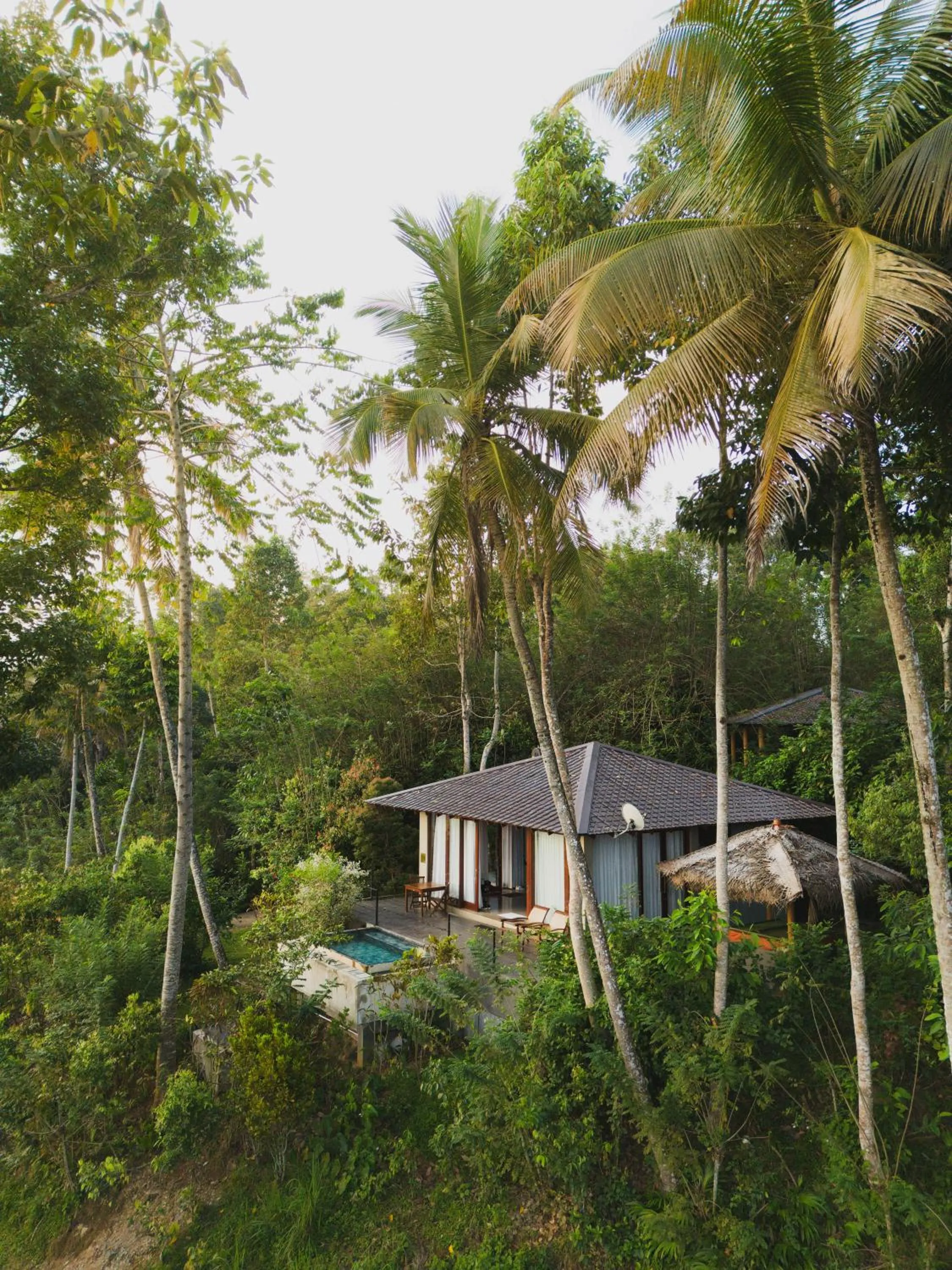 Aarunya Nature Resort - Kandy