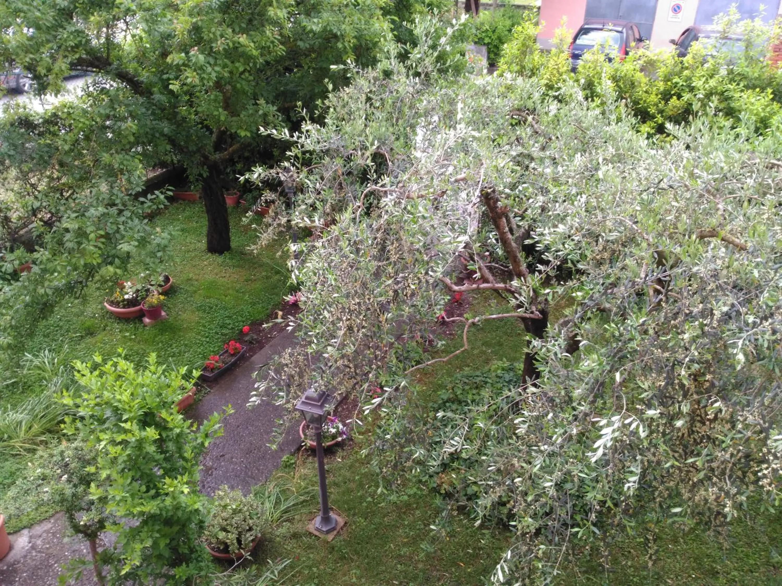 Garden in BeB Angelini dal 1911