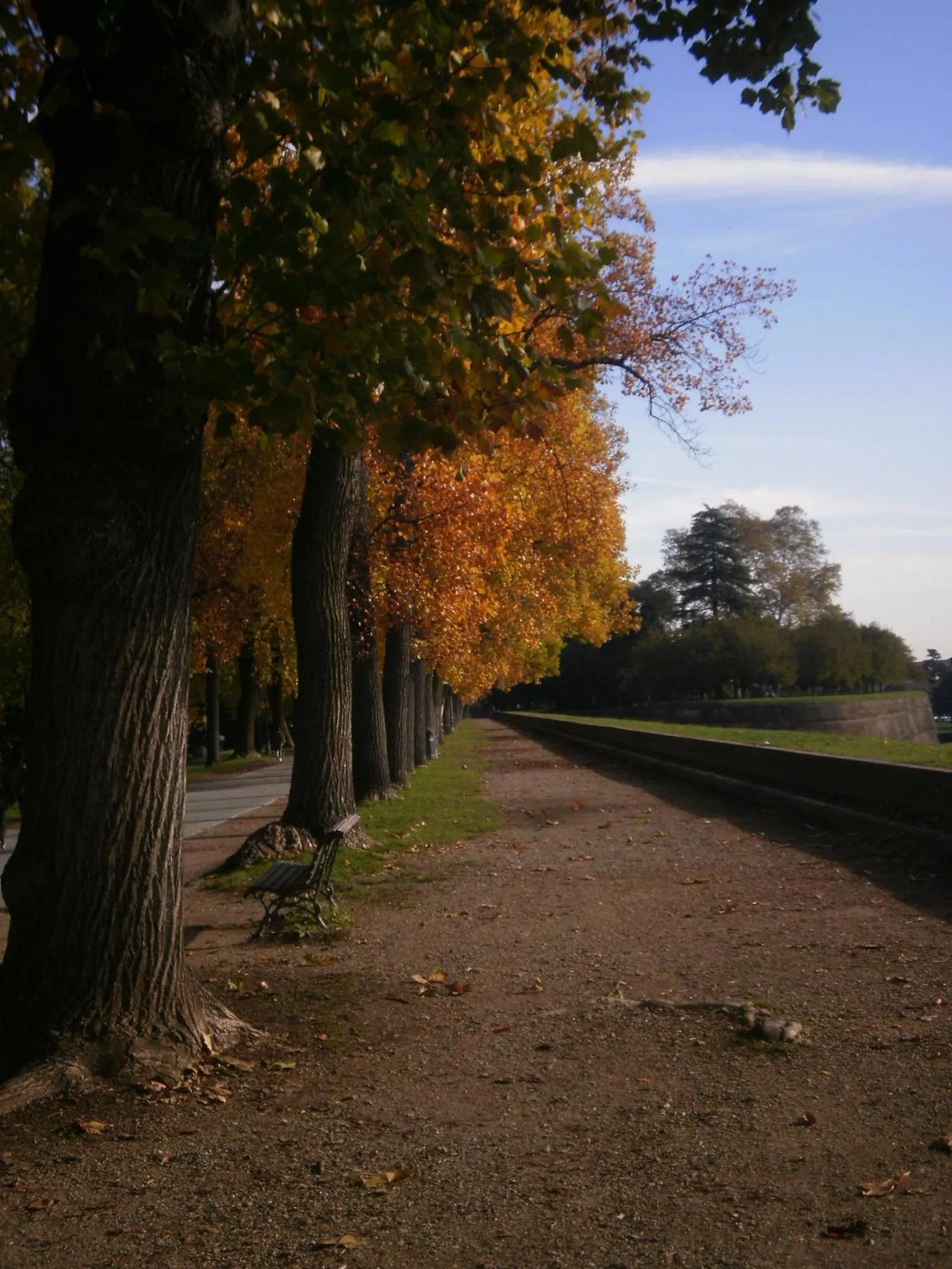 Other in BeB Angelini dal 1911