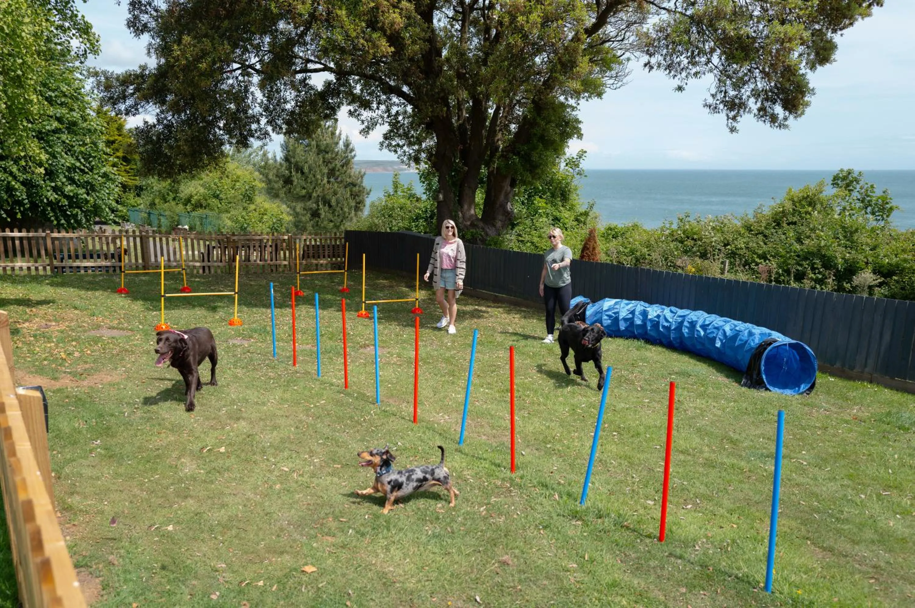 Pets in Luccombe Manor Country House Hotel