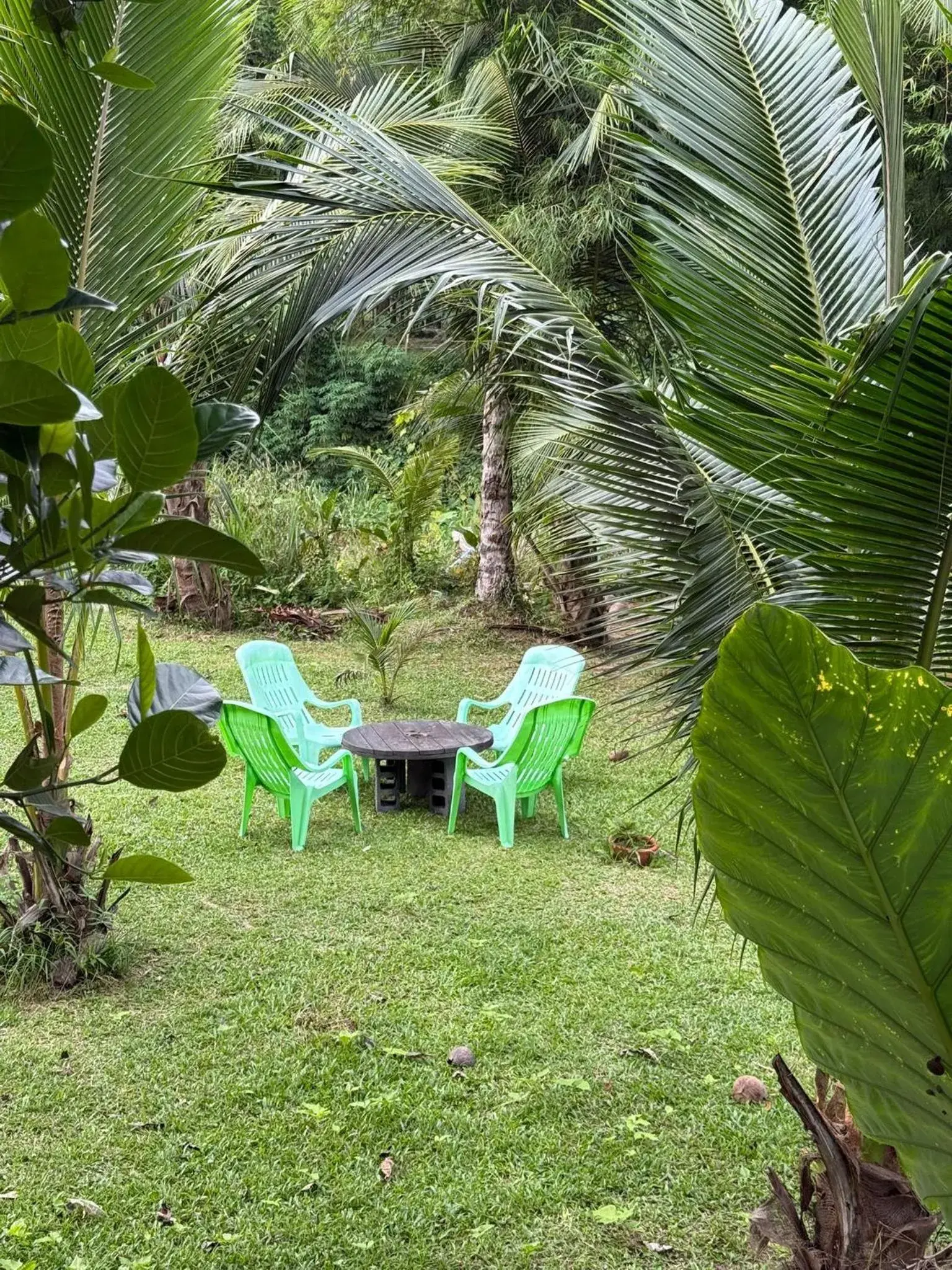 Budget Double Room in Baan Hinlad Home and Hostel Budget Double Room in Baan Hinlad Home and Hostel