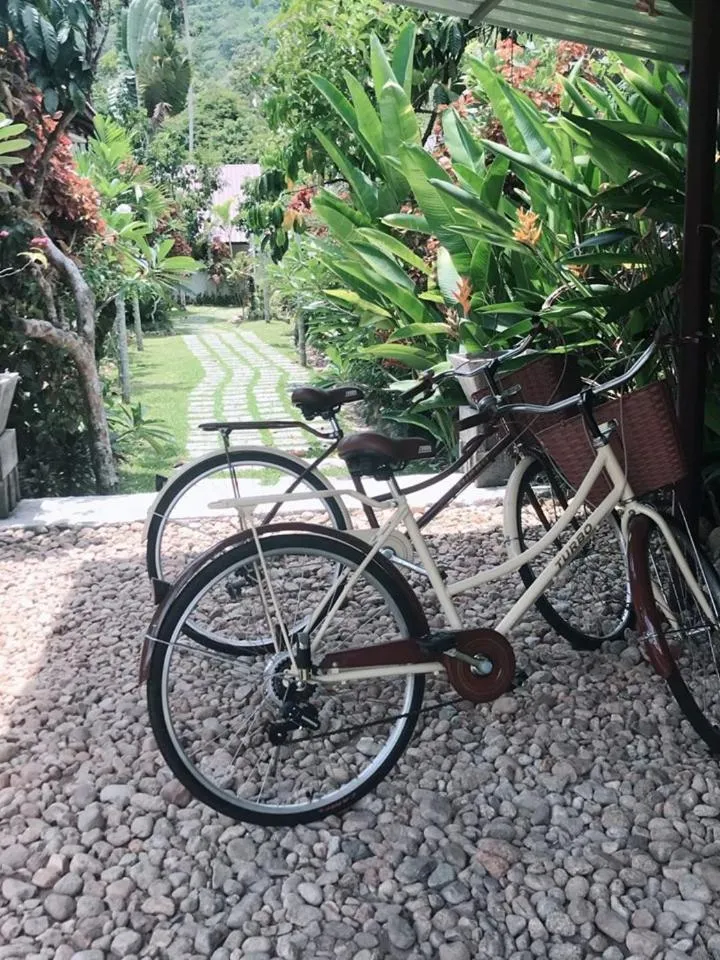 Activities in Baan Hinlad Home and Hostel