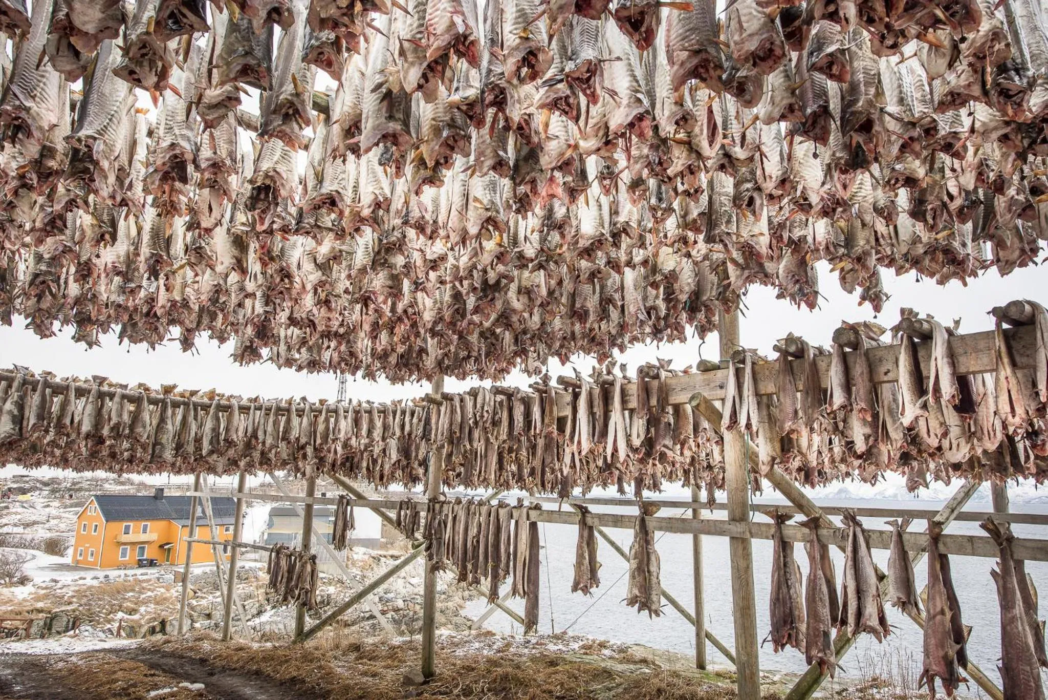 Neighbourhood in Å Rorbuer - by Classic Norway Hotels